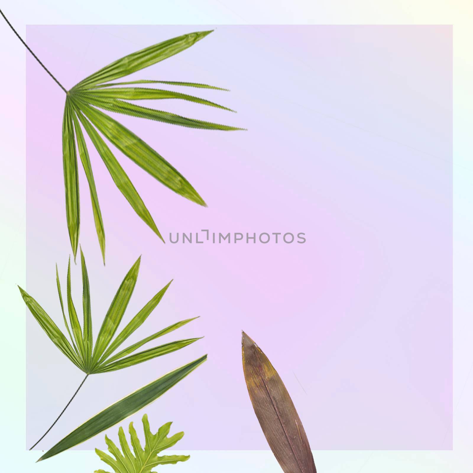 Plant elements on the background in pastel colors in vintage style. by georgina198