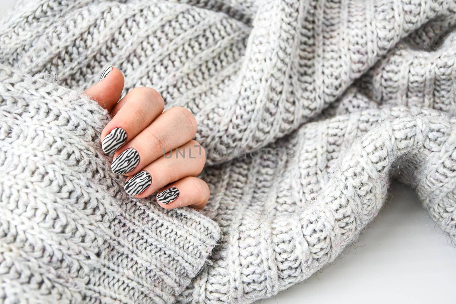 Hand in sweater with zebra animal printed nails. Female manicure. Glamorous beautiful manicure. Manicure salon concept. Nail polish close up.