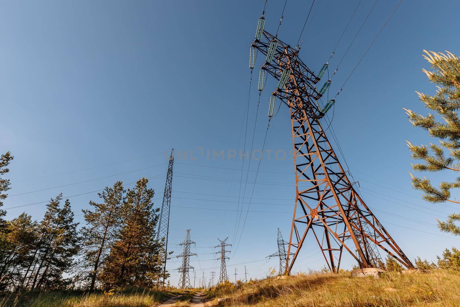High-voltage power transmission line in the forest by deandy