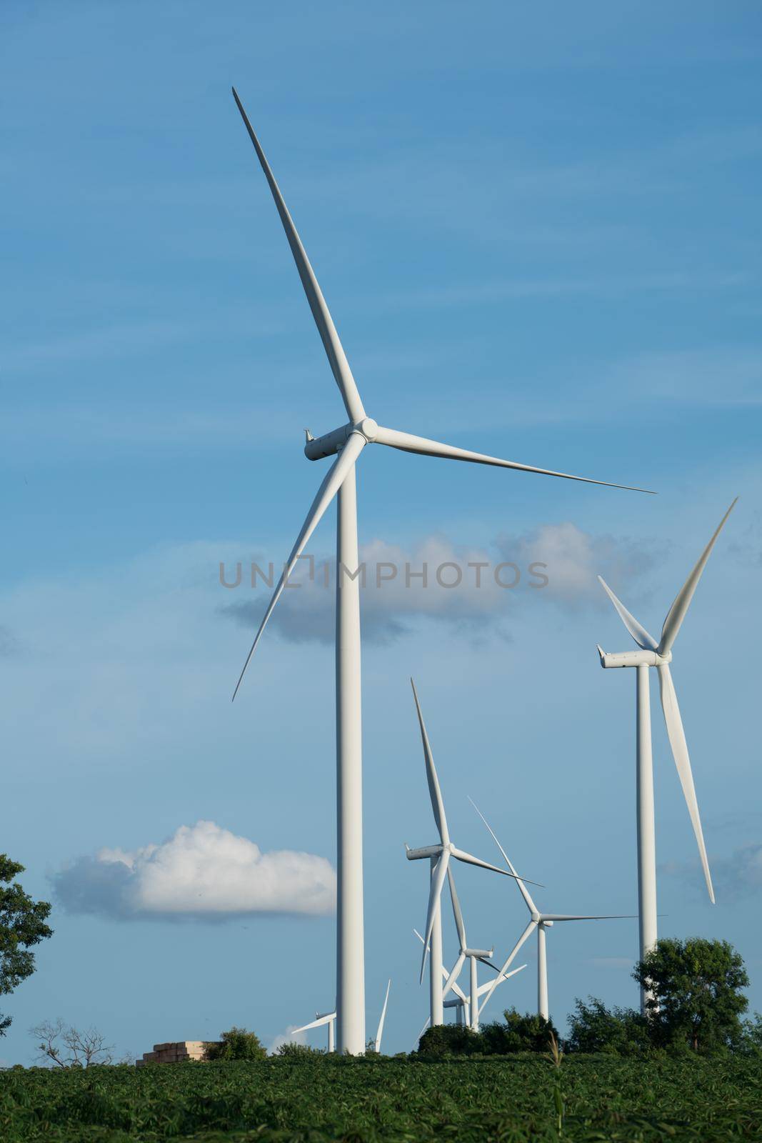 Wind turbine farm - renewable energy, sustainable energy and alternative energy