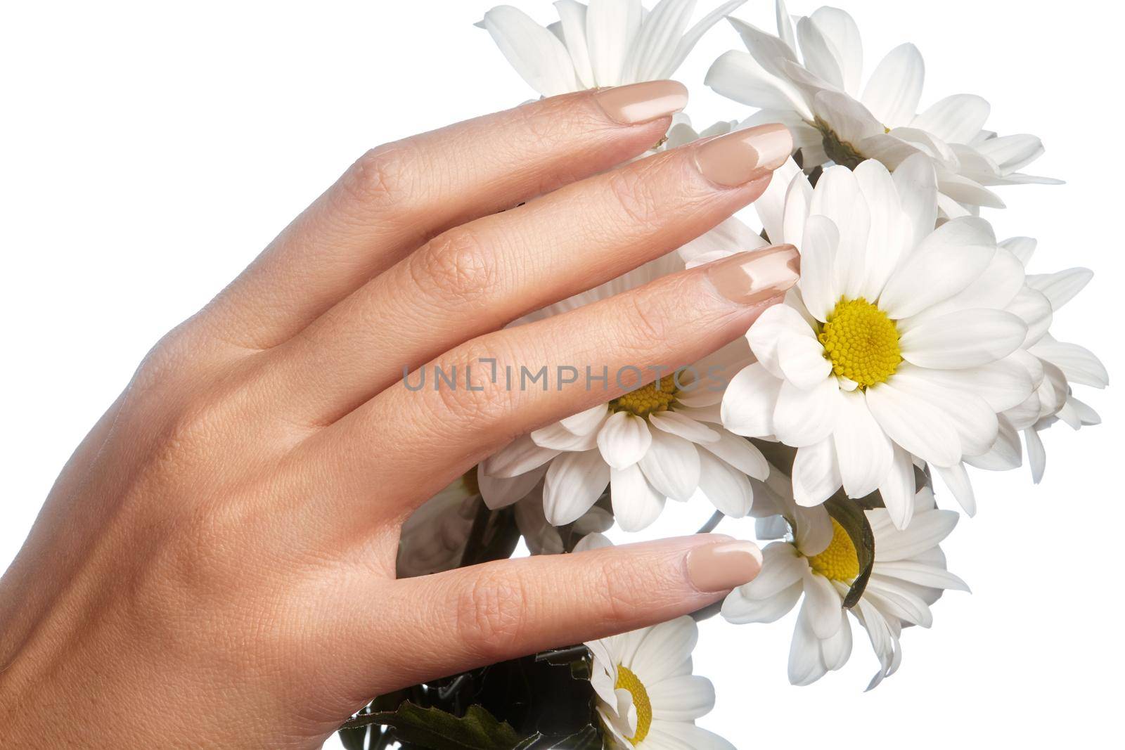 Beautiful female fingers with pastel pink manicure touching spring flowers. Care about female hands, healthy soft skin. Spa, cosmetics. Close-up of beautiful fingers with nails polish.