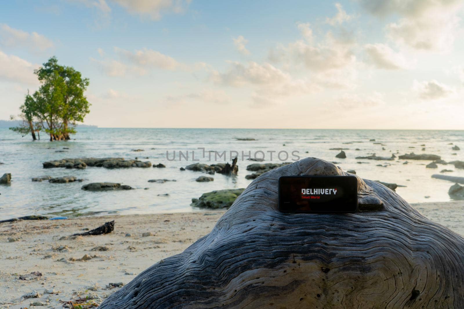 mobile phone sitting on curved tree log with Delivery screen with scenic sea, tree in background showing access of internet across the world by Shalinimathur