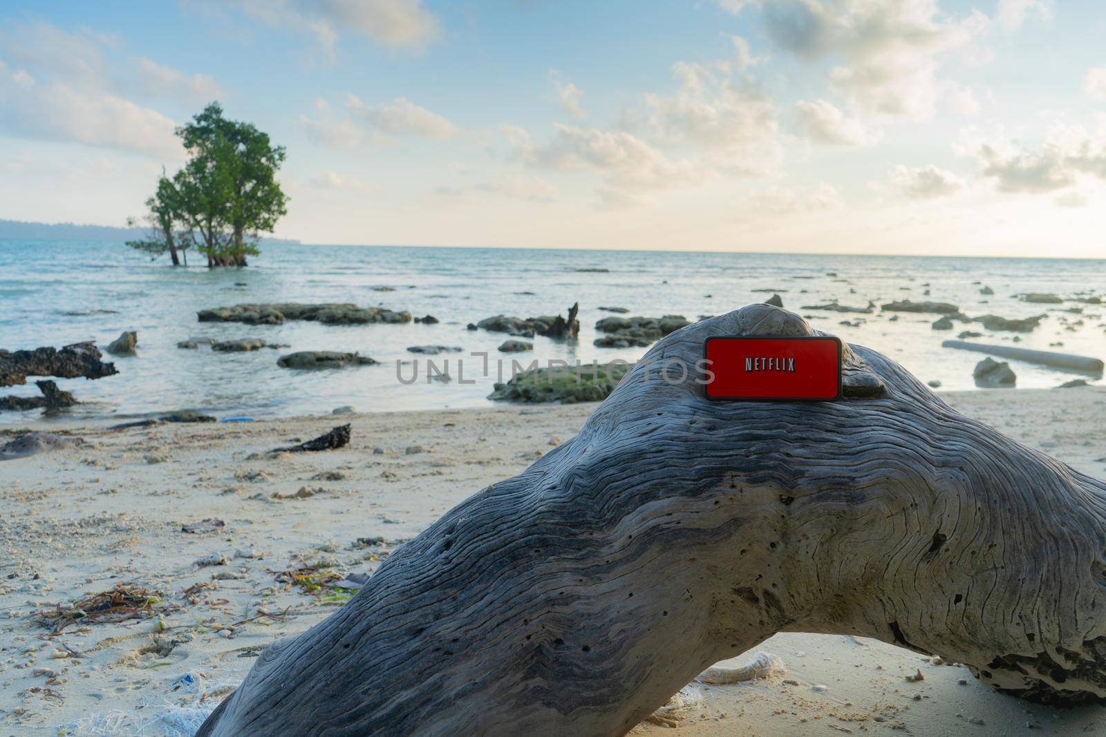 Havelock, andaman Island, India - circa 2022 :- mobile phone sitting on curved tree log with netflix screen with scenic sea, tree in background showing access of internet across the world