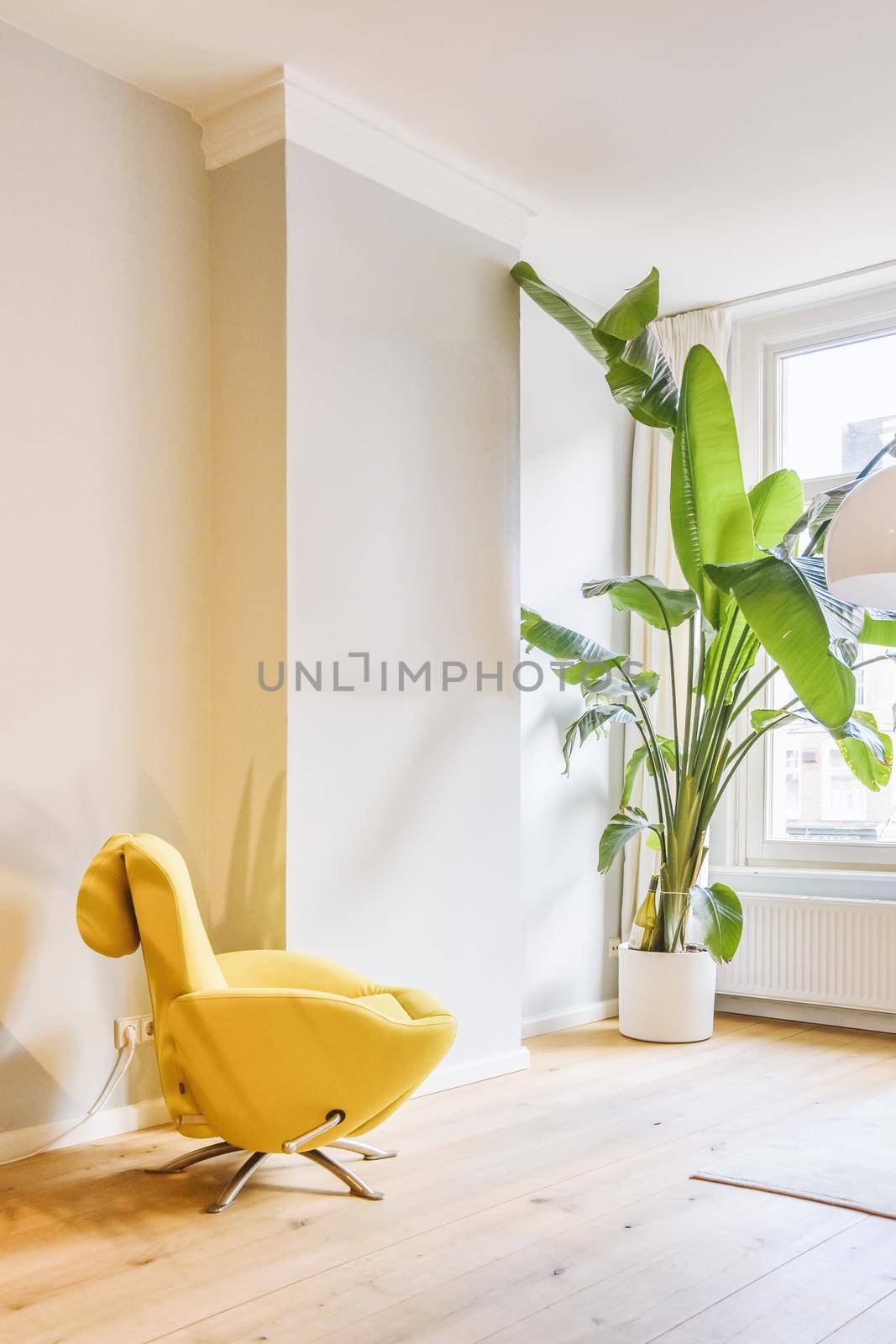 Stylish yellow armchair with a house-plant in the corner of the room