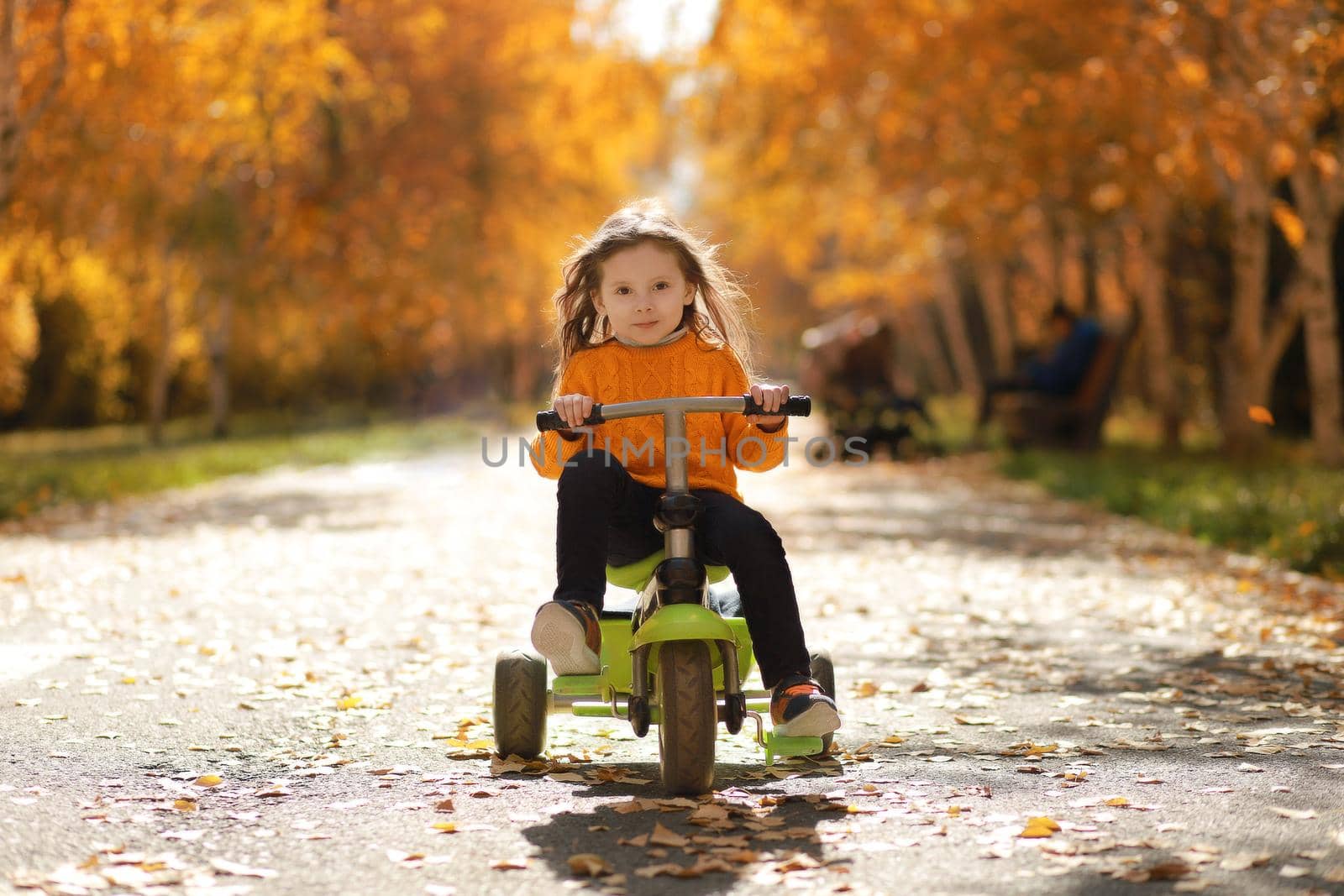 Little girl rides a 3-wheeled bike in the autumn park.
