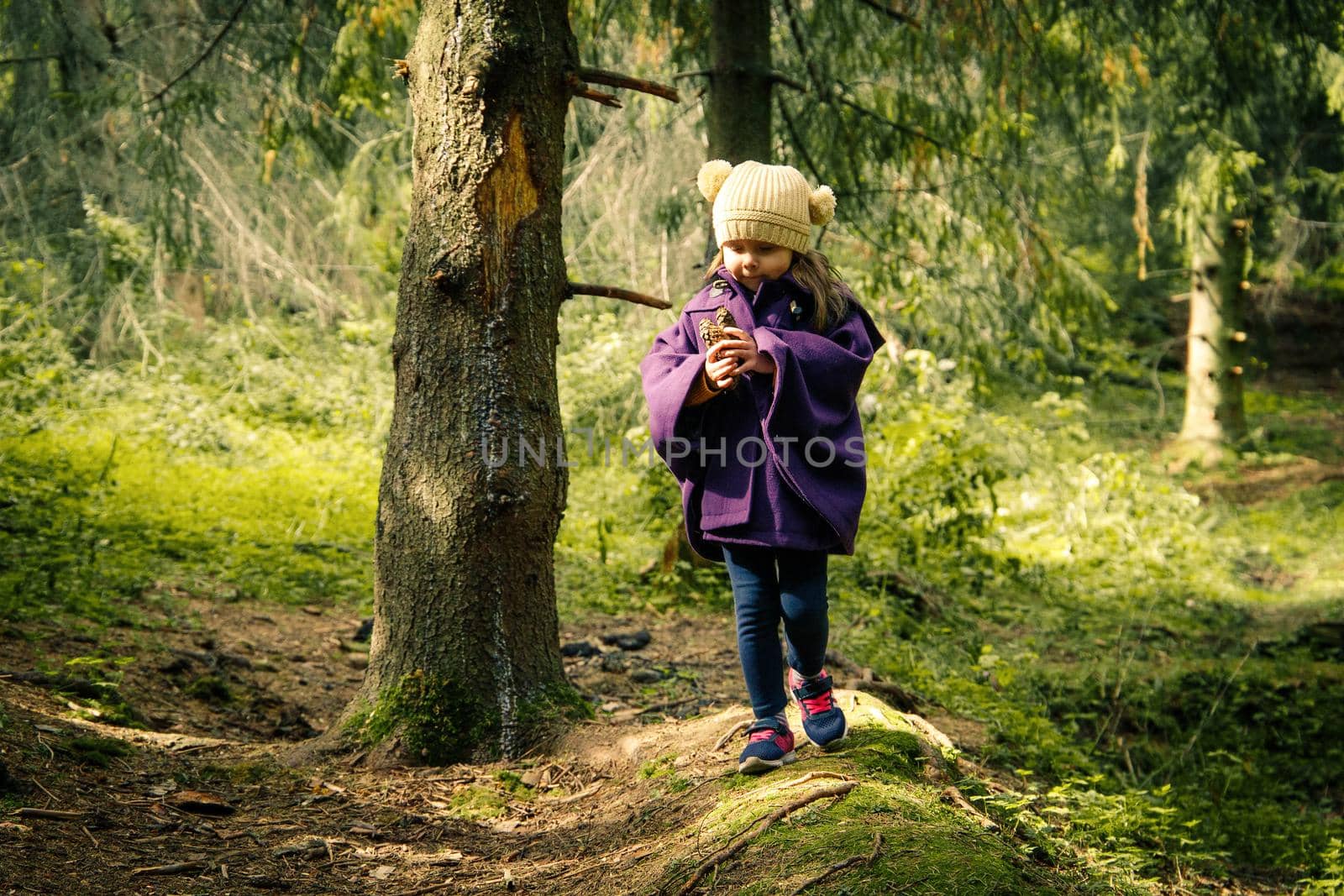 Pretty little girl collecting fir cones and walking at autumn forest.