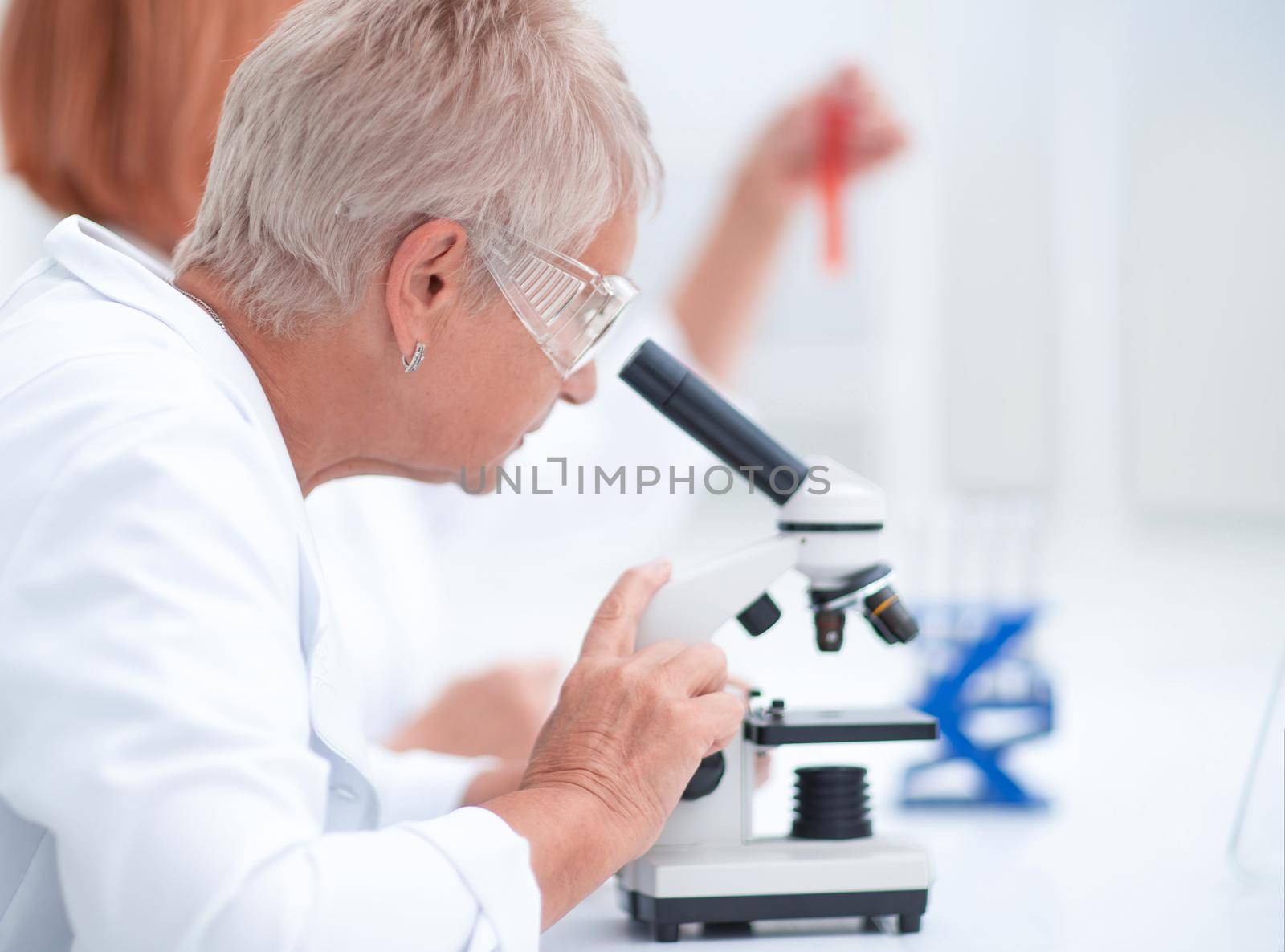 close up. female scientist conducts research in the laboratory.