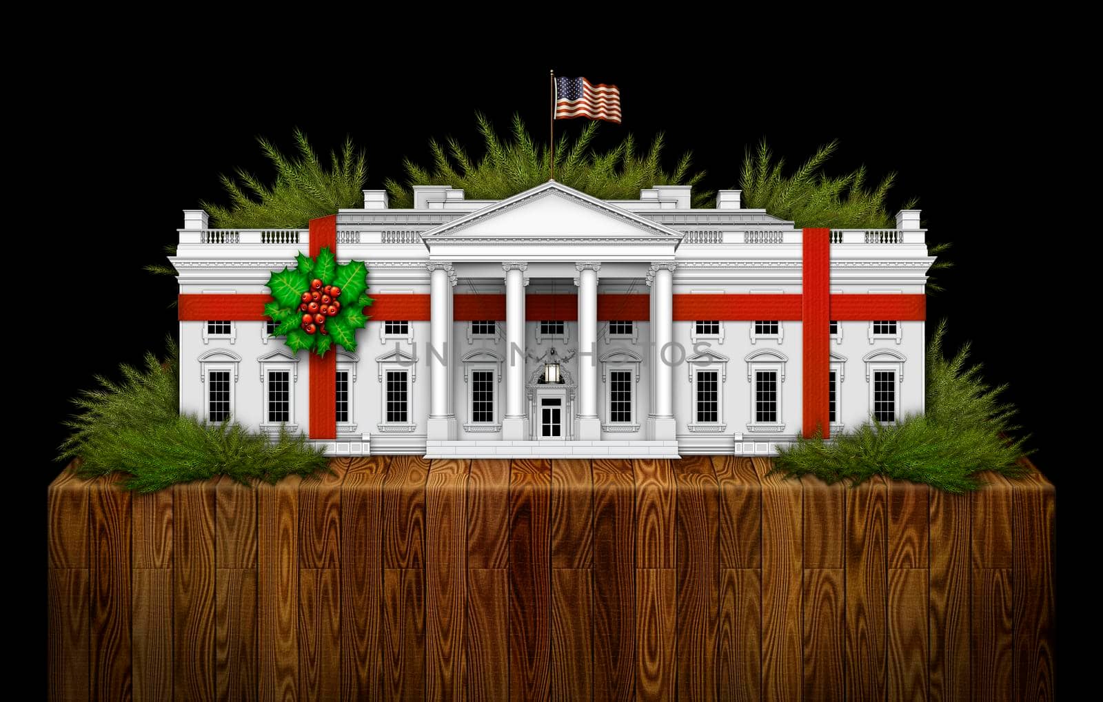 The White House gift wrapped and sitting on a bed of evergreen branches by jimlarkin