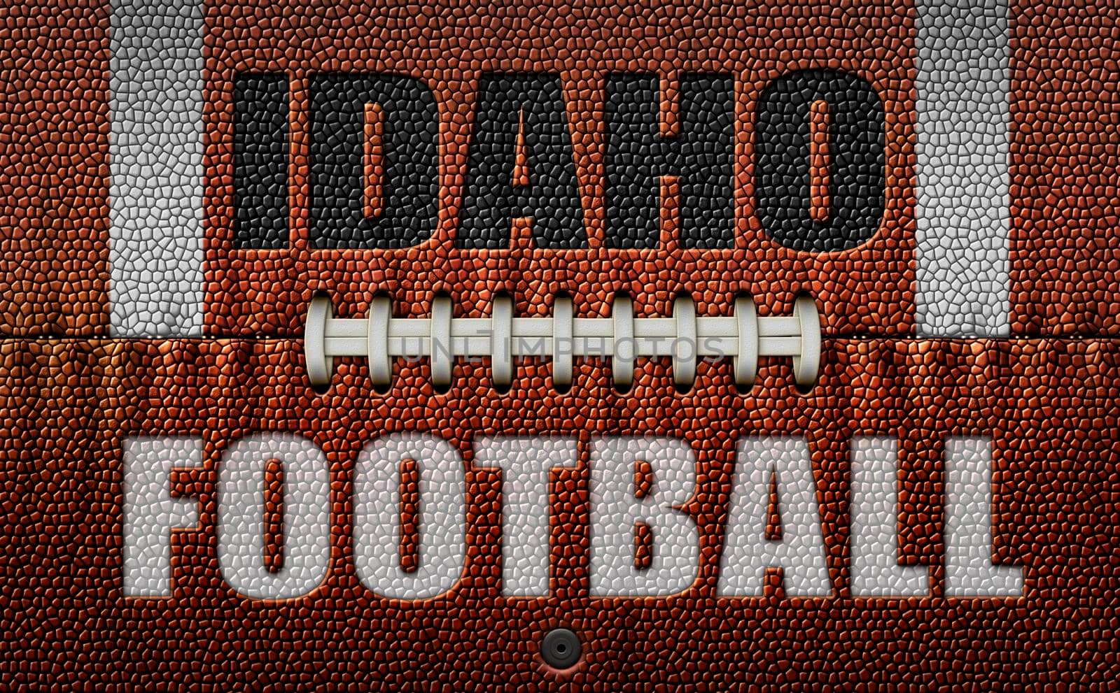 The words, Idaho Football, embossed onto a football flattened into two dimensions. 3D Illustration