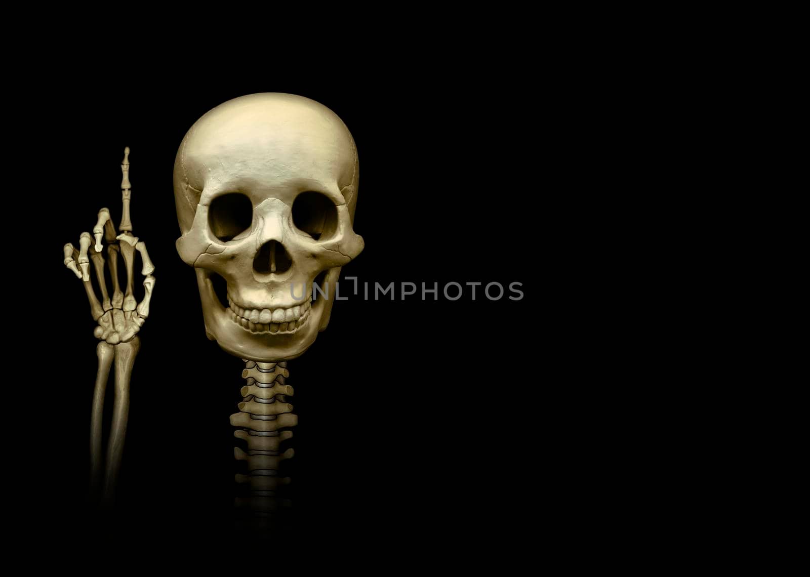Human Skull with skeletal hand holding up index finger, signifying number one, against a black backround.