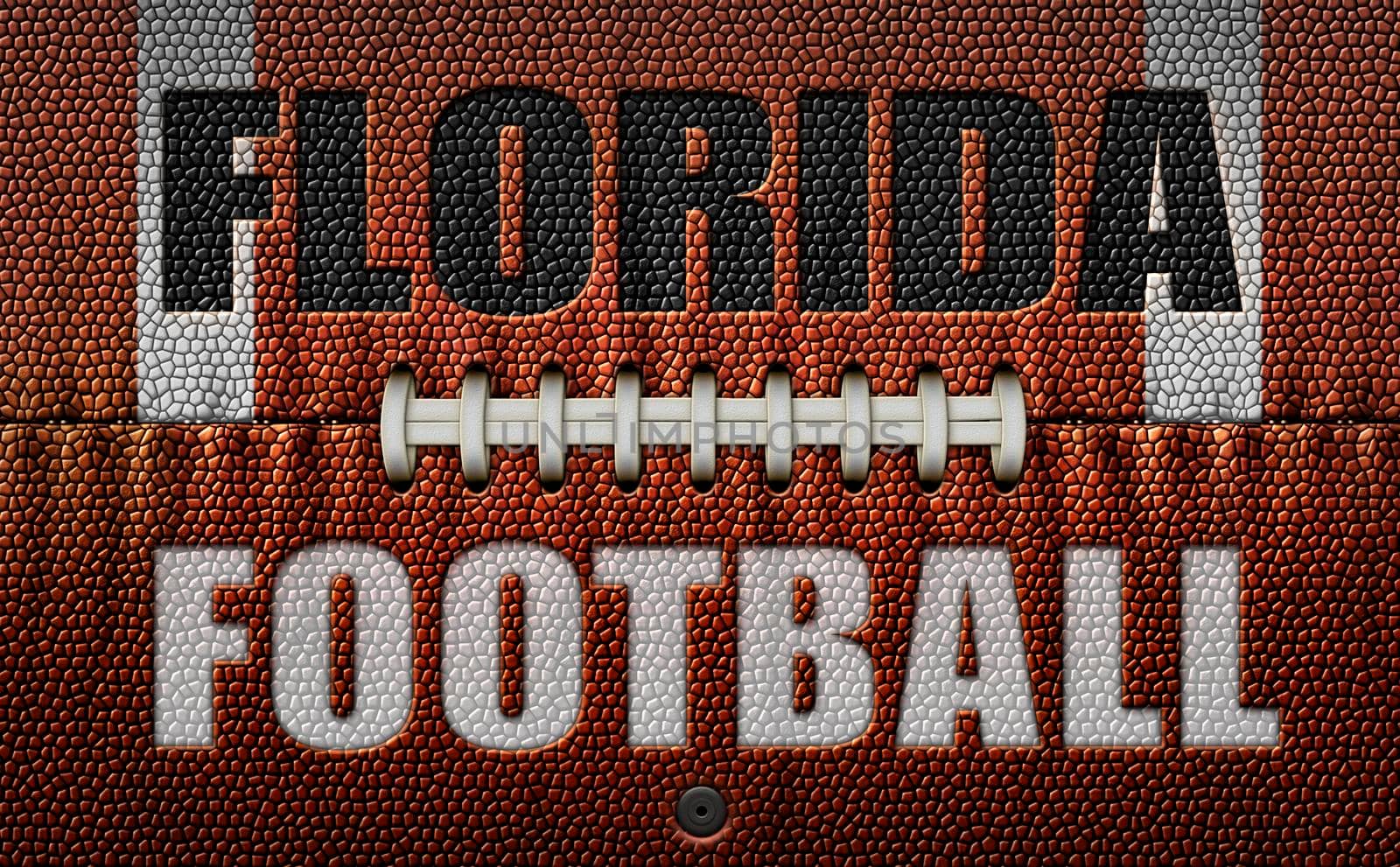 The words, Florida Football, embossed onto a football flattened into two dimensions. 3D Illustration