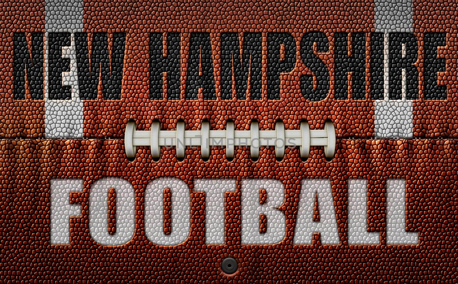 The words, New Hampshire Football, embossed onto a football flattened into two dimensions. 3D Illustration