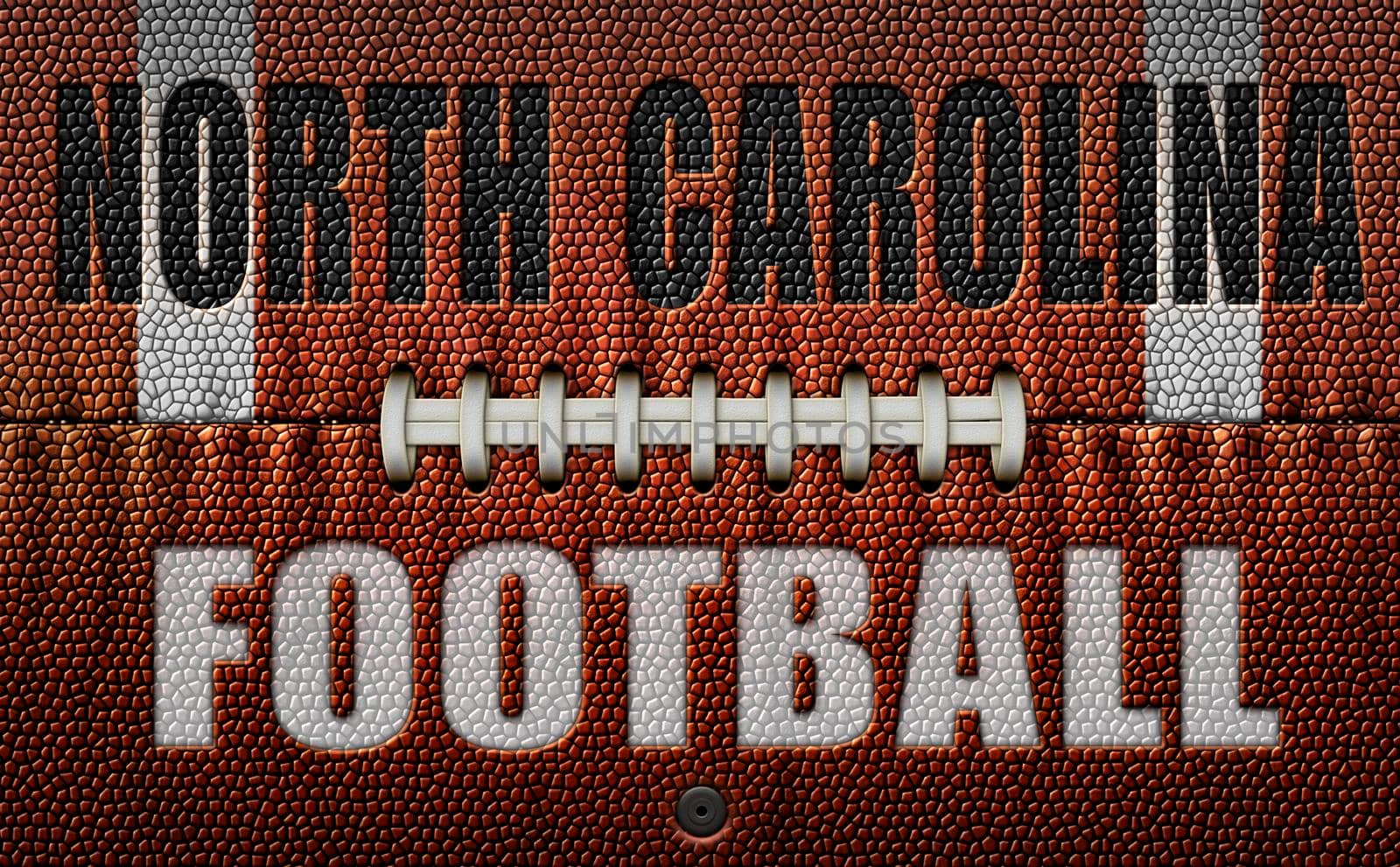 The words, North Carolina Football, embossed onto a football flattened into two dimensions. 3D Illustration