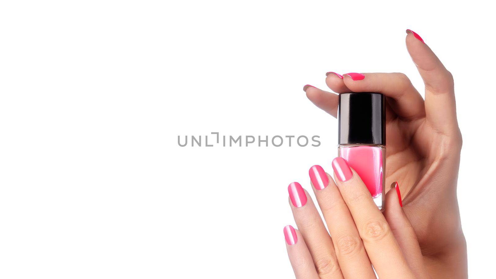 Beautiful Hands with Perfect Shiny Pink Manicure Holding Nail Polish Lacqueron White Background. Bright Nails. Copy Space
