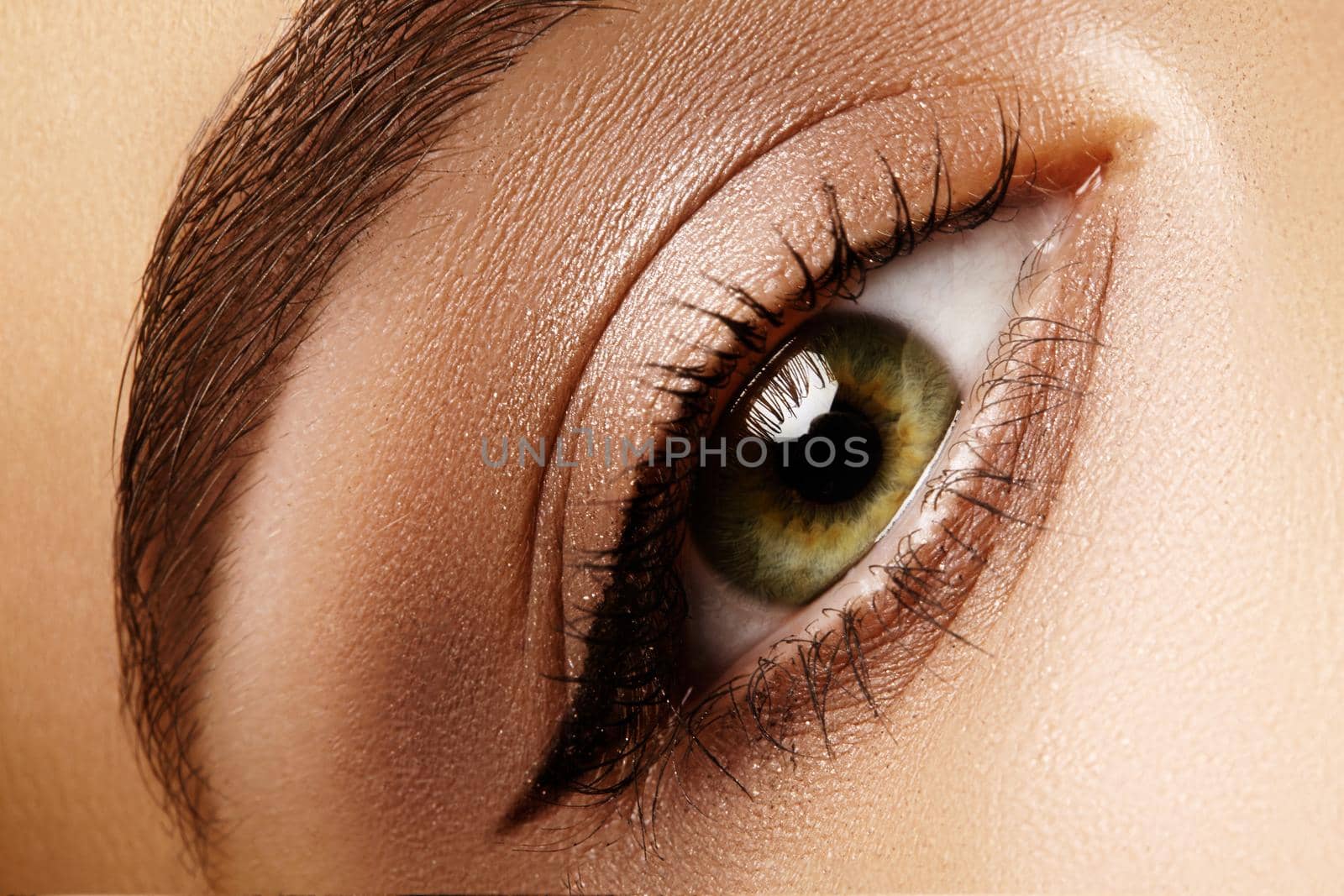 Beautiful macro shot of female eye with classic eyeliner makeup. Perfect shape of eyebrows, brown eyeshadows and long eyelashes. Cosmetics and make-up. Closeup macro shot of fashion liner eyes visage