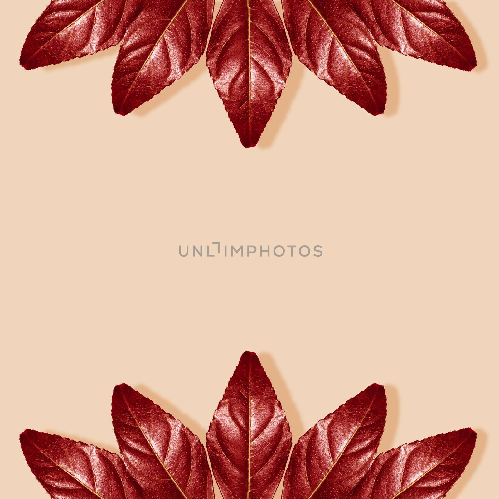 Autumn composition. Autumnal Red Leaves on Pastel Beige Background. Fall Concept. Flat Lay, Top View and Copy Space.