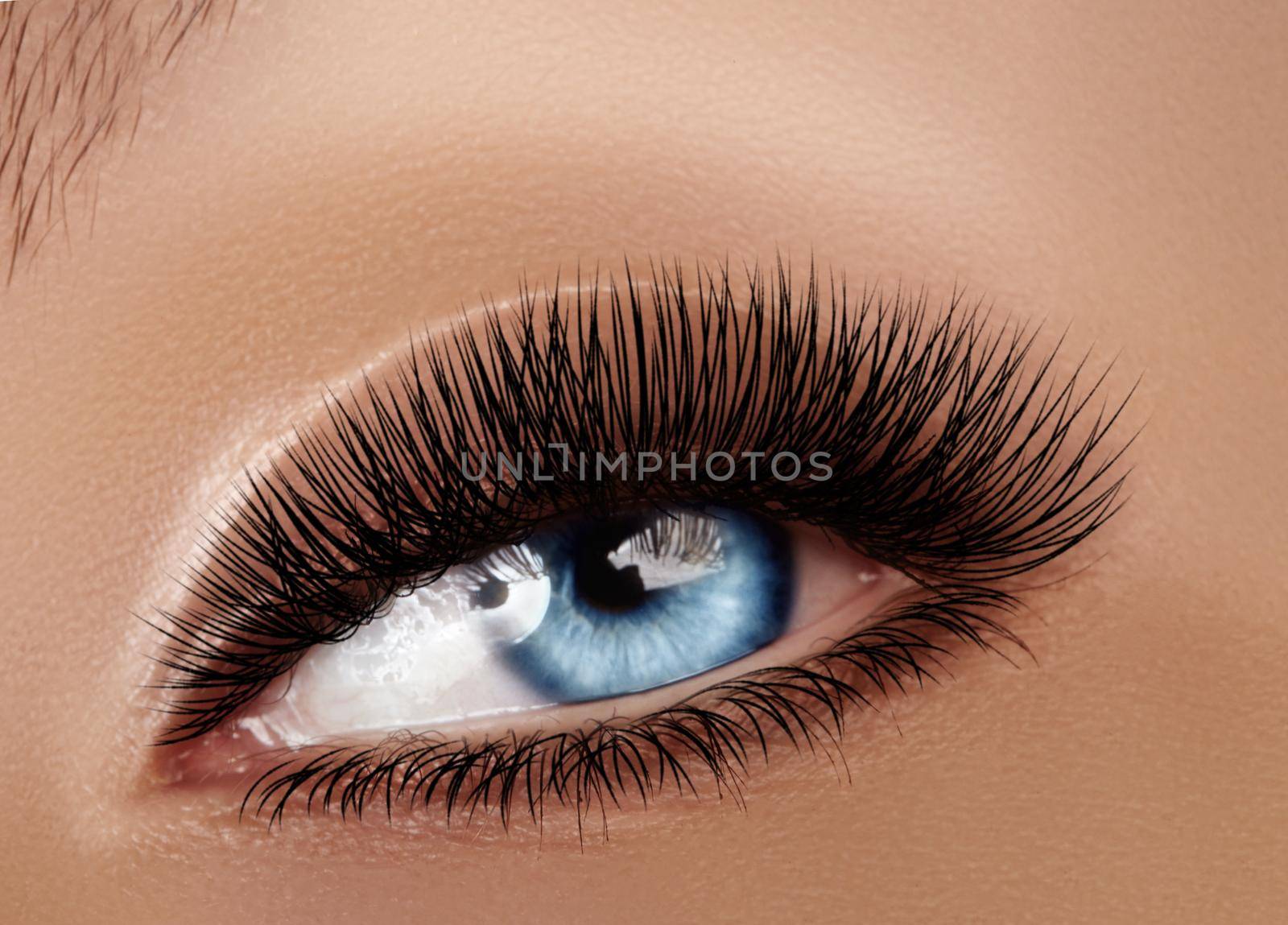 Beautiful Macro Female Eye with Extreme Long Eyelashes and Celebrate Makeup. Perfect Shape Make-up, Fashion Long Lashes by MarinaFrost