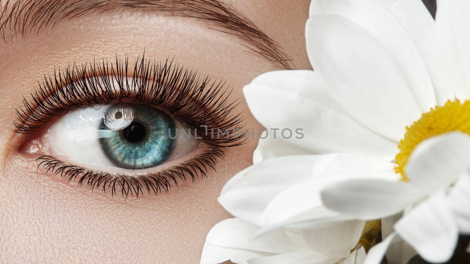 Close-up of beautiful female eye with perfect Eyelashes. Clean skin, fashion naturel make-up, long lashes. Good vision. Spring natural look with chamomile flowers.