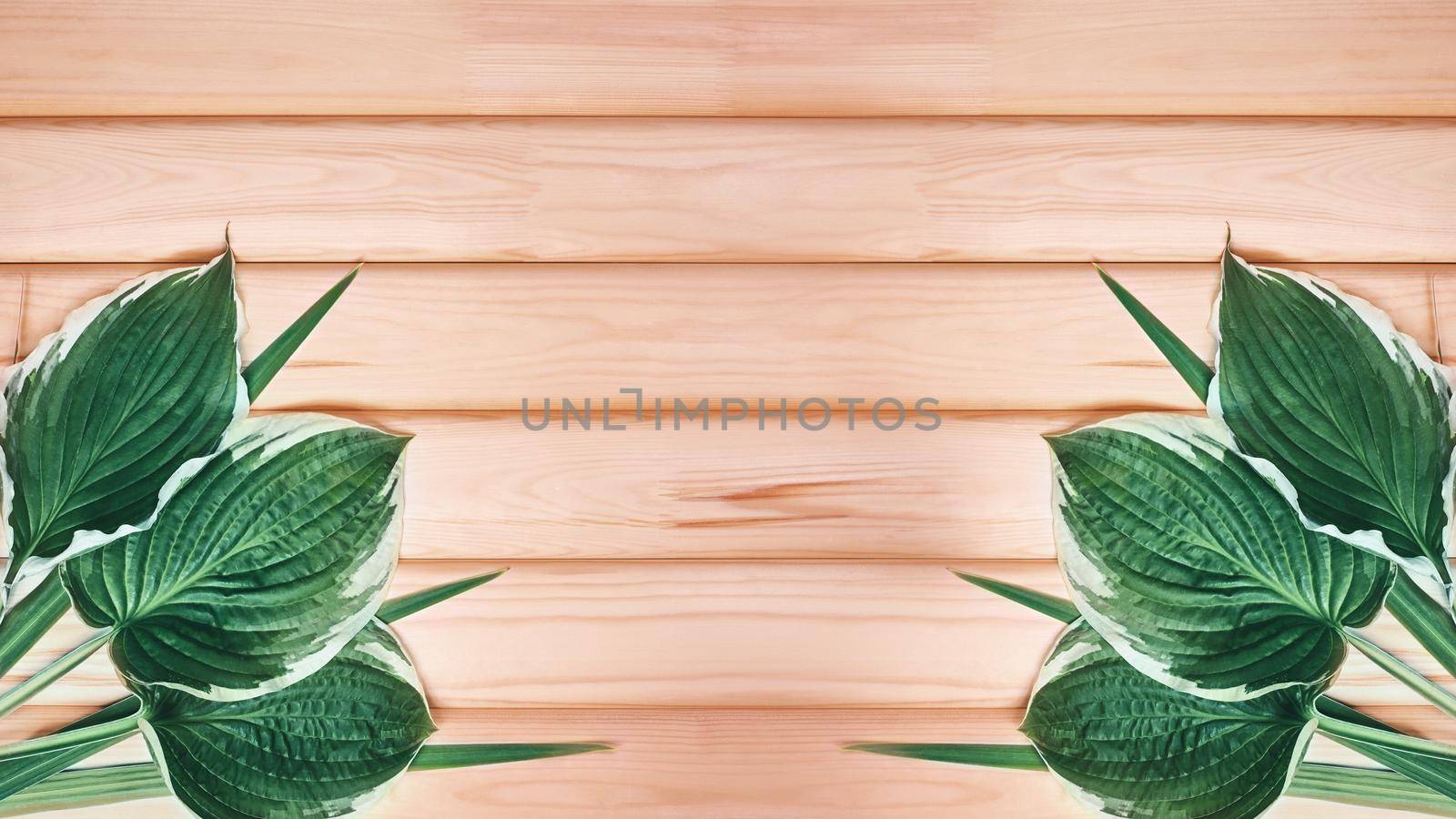 Beautiful Layout Made of Tropical Green Leaves and Empty Wooden background For Copy Space. Minimal Natural Background by MarinaFrost