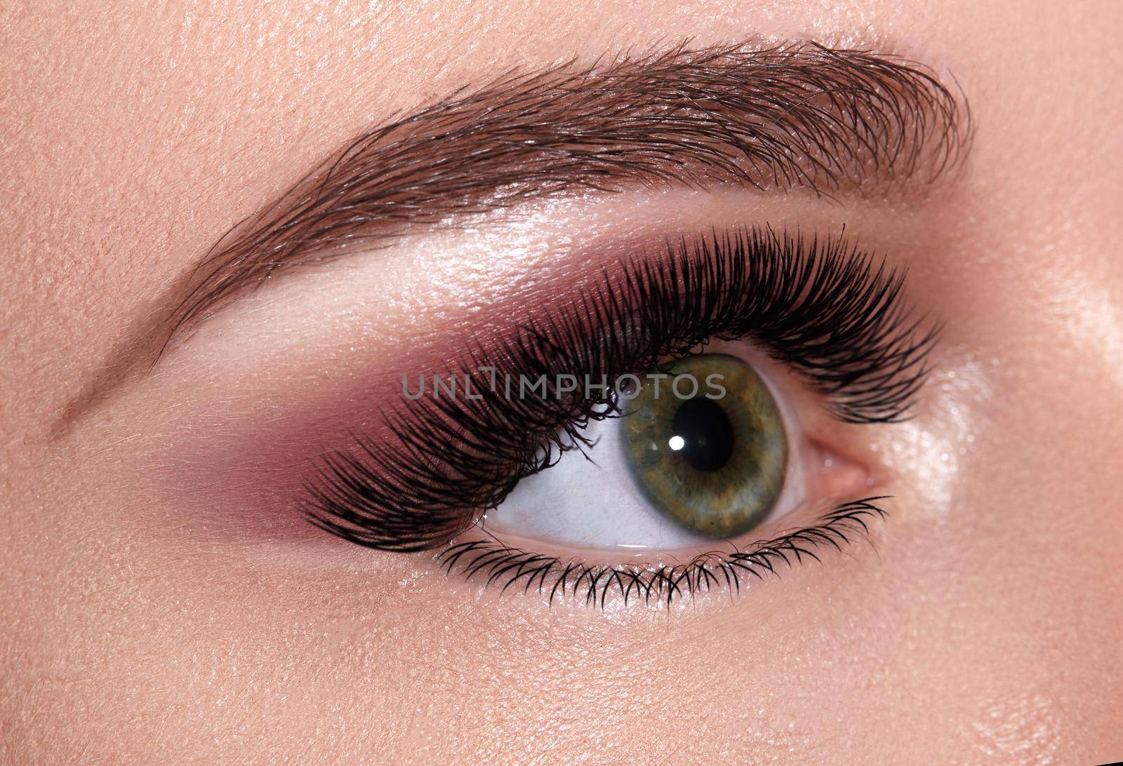 Beautiful Macro Female Eye with Extreme Long Eyelashes and Celebrate Evening Makeup. Perfect Shape Brow, Fashion Lashes by MarinaFrost