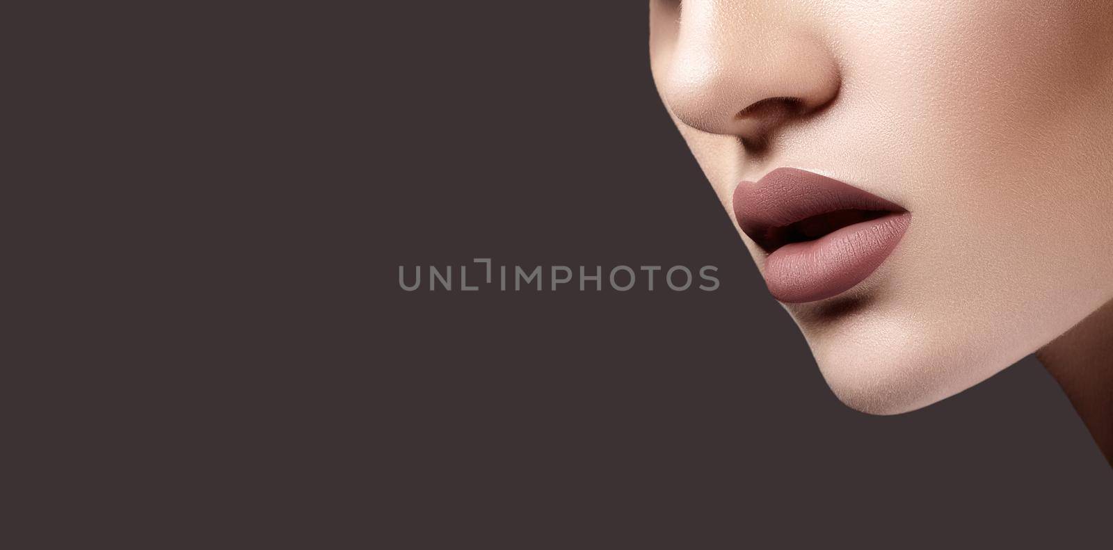 Sexy Part of Female Face with Plump Lips, Perfect Chin Shapes and Smooth Skin. Fashion Lip Make-up. Mat Fashionable Style. Beauty Macro Shot. Copy Space Concept