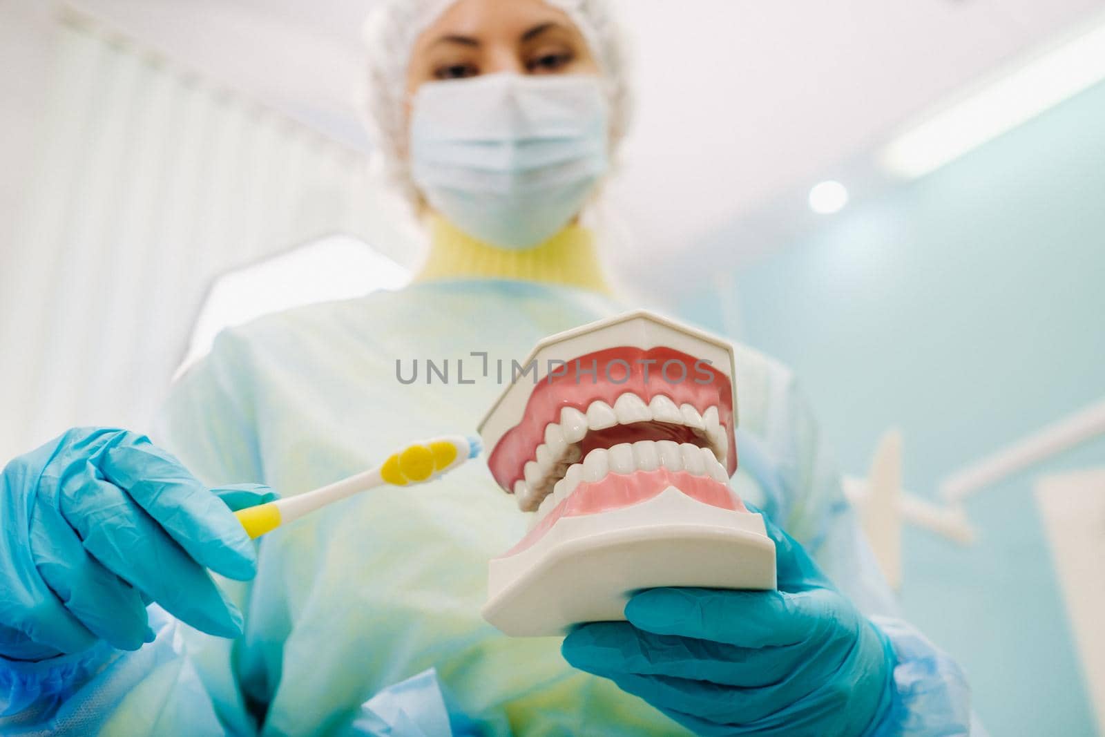 A model of a human jaw with teeth and a toothbrush in the dentist's hand.