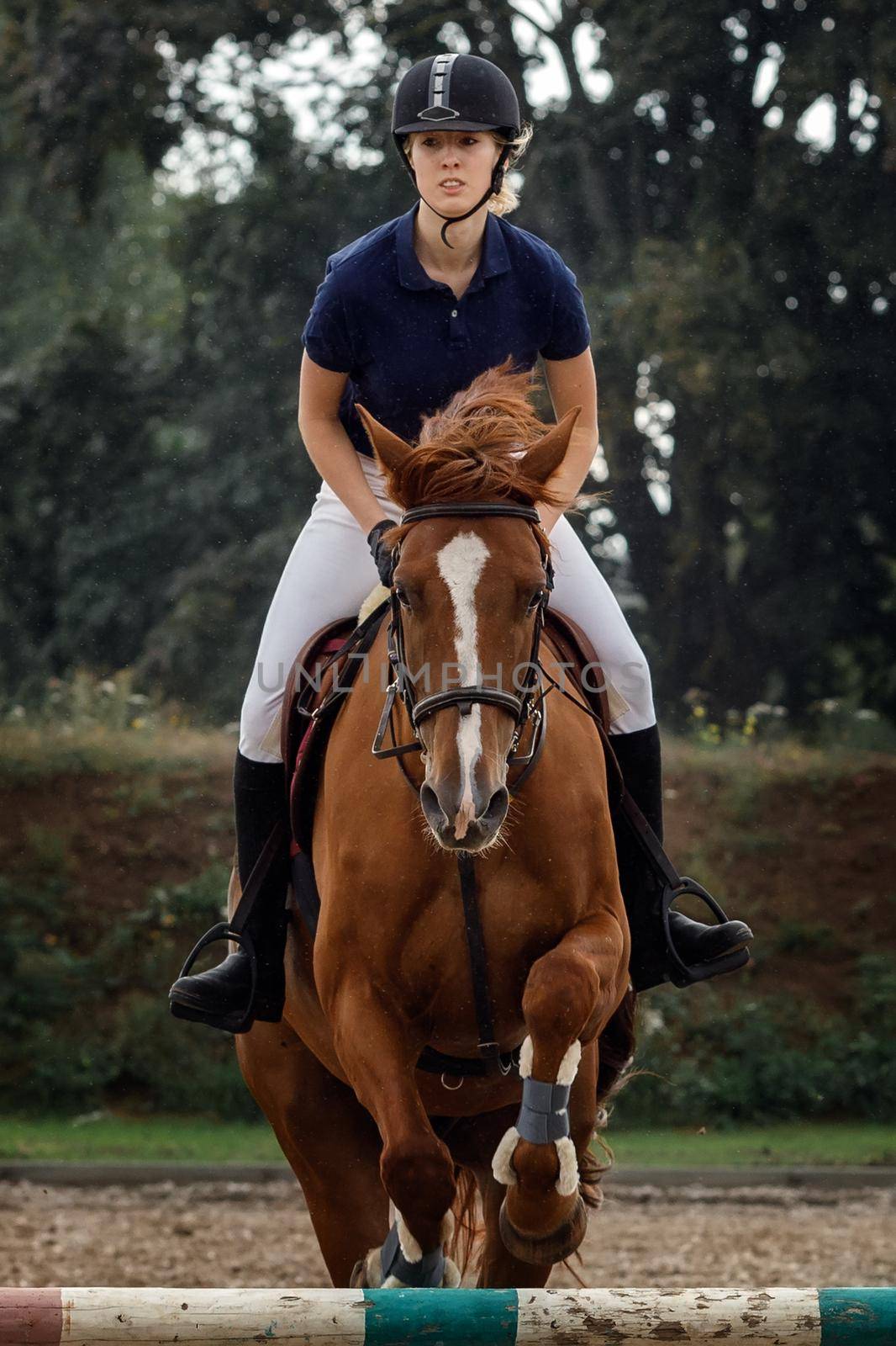 Close portrait of attractive rider woman jumping over obstacle on brown horse during eventing cross country competition in summer.