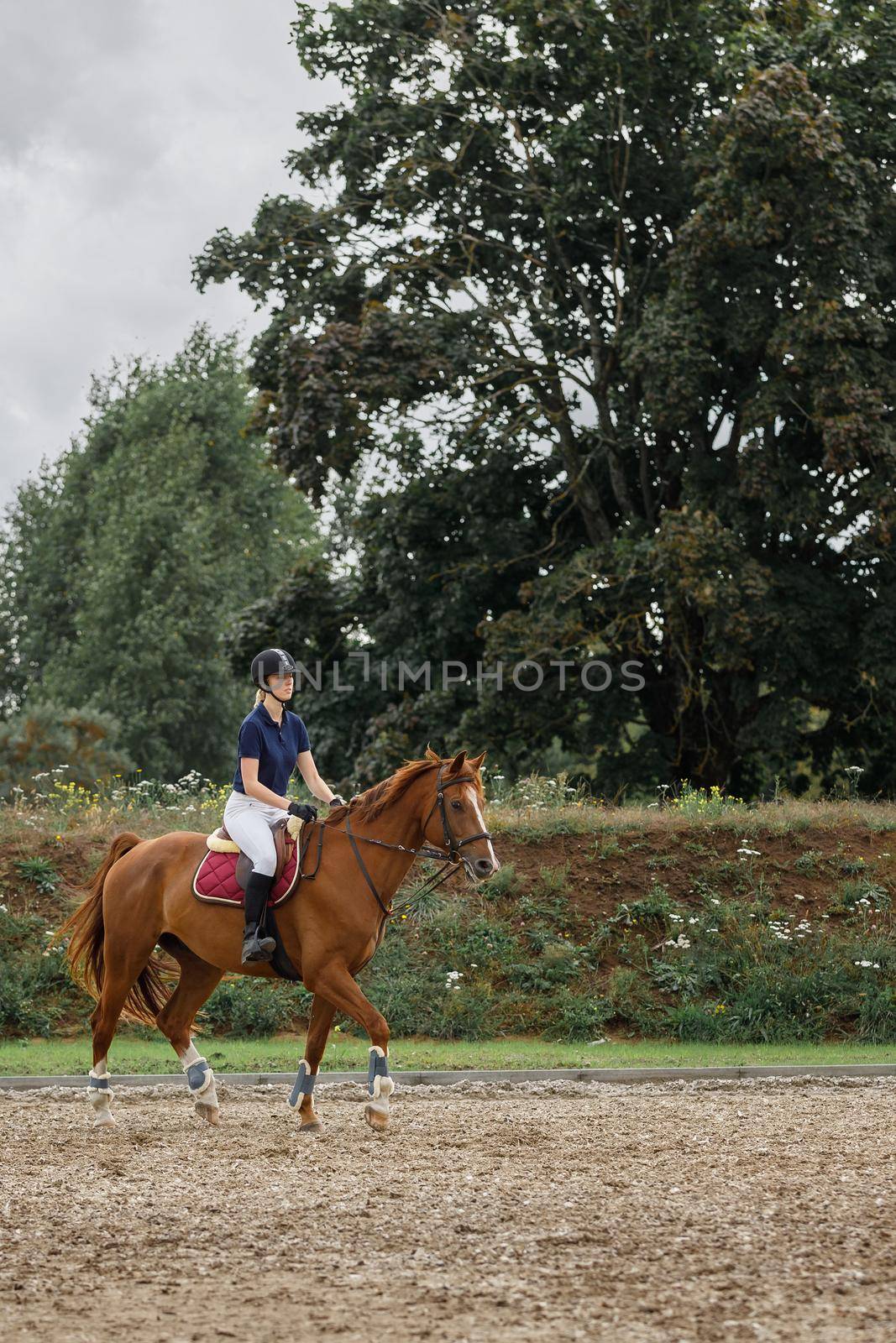 A young girl rides on a brown horse in a stud farm sand arena against the backdrop of large green trees. Horseback riding in the ranch at leisure by Lincikas