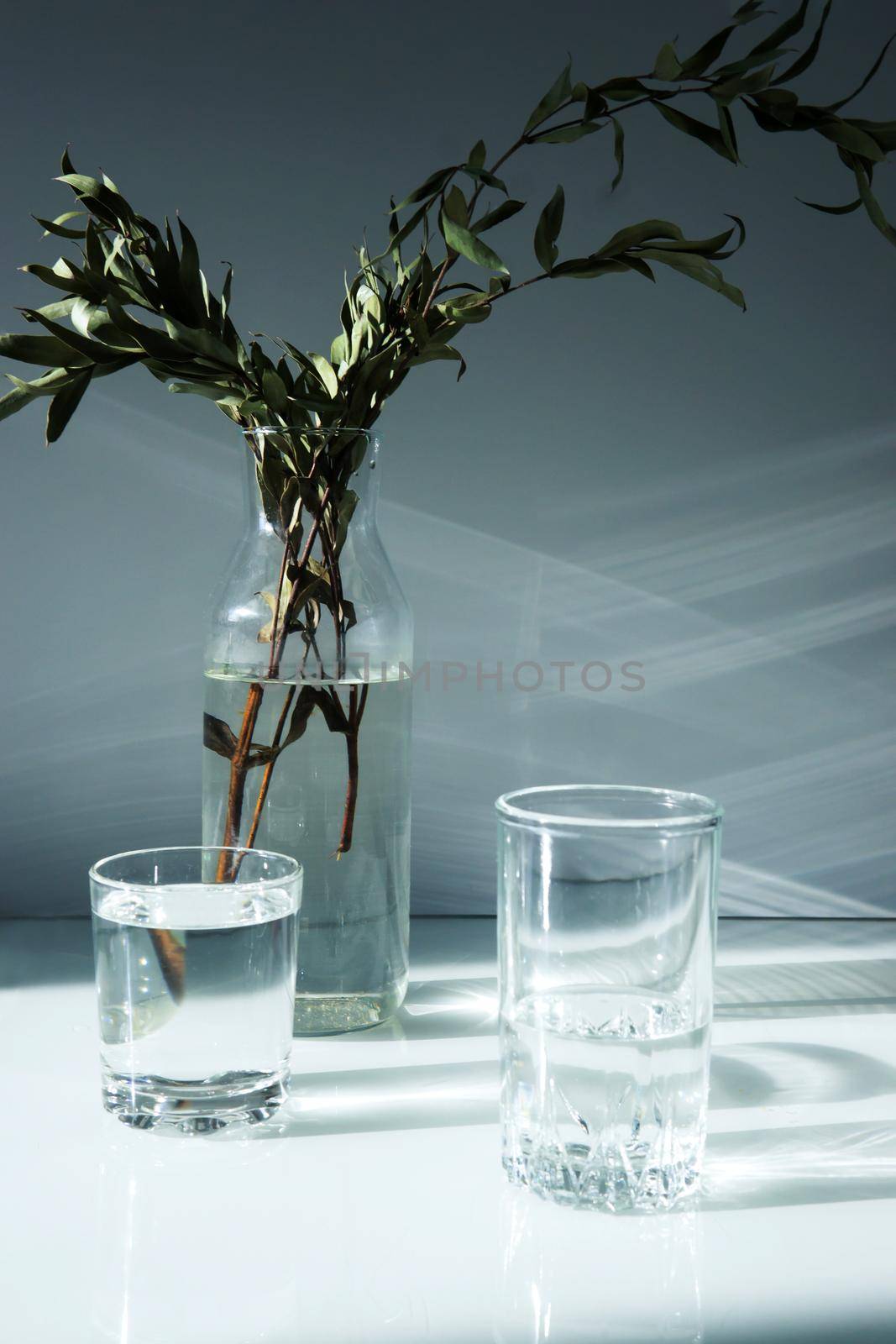 A glass vase with a green plant and two glasses of water on a white table. Minimalism.