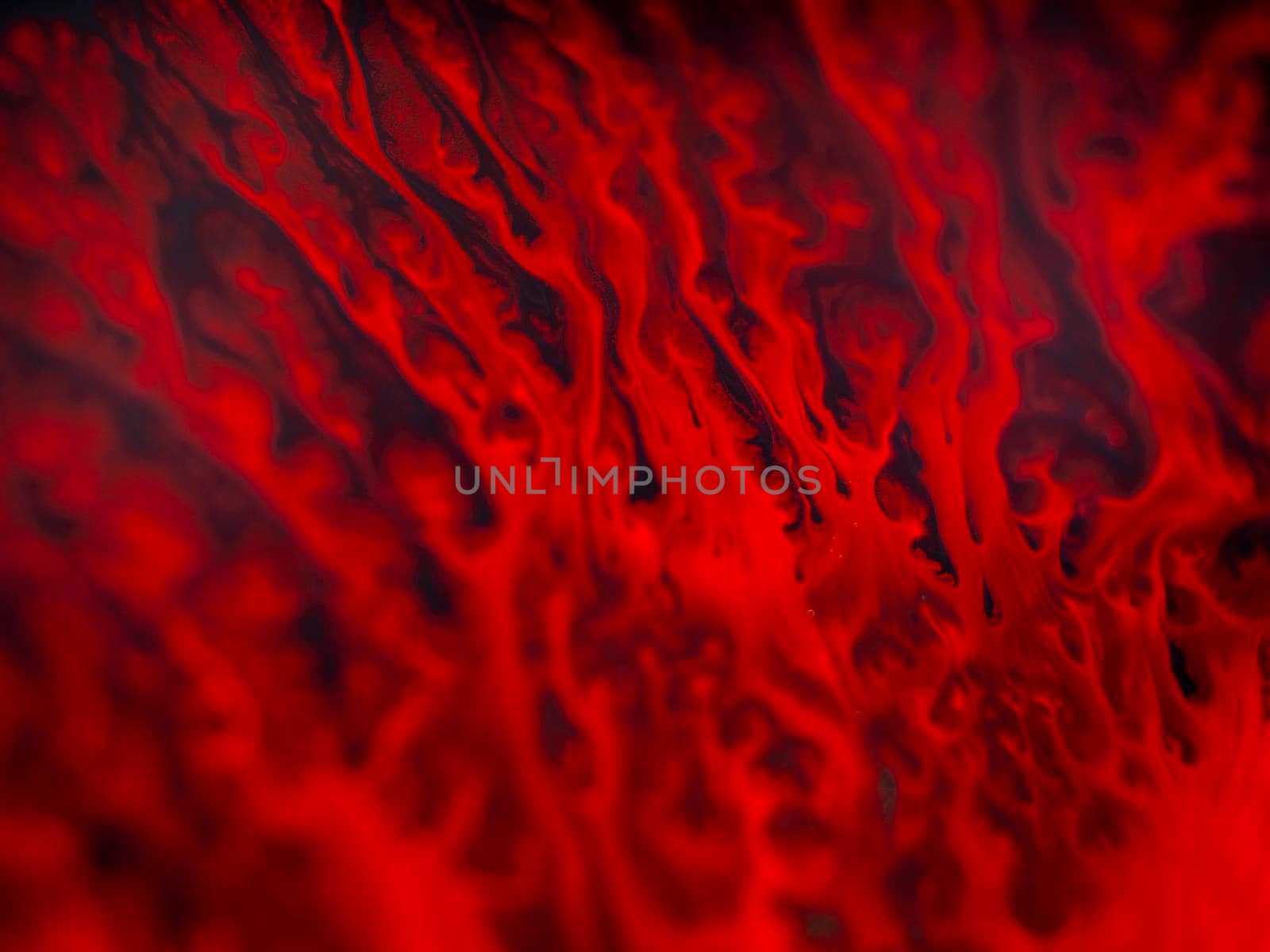 Unique germination of red threads of paint from a spot on a black dark background. Abstract textural art. Liquid forms of design. Unique image, picture, photo, background.