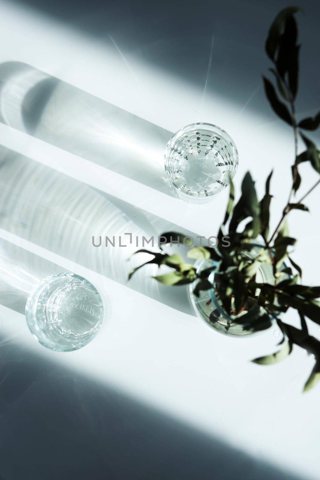 A glass vase with a green plant and two glasses of water on a white table. Minimalism.