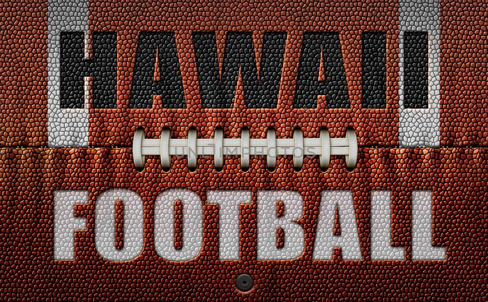 The words, Hawaii Football, embossed onto a football flattened into two dimensions. 3D Illustration