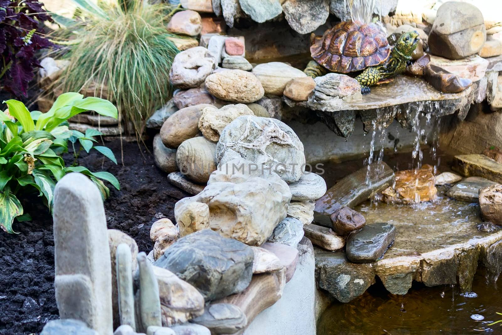 Small decorative pond with a beautiful stone wall and growing plants.