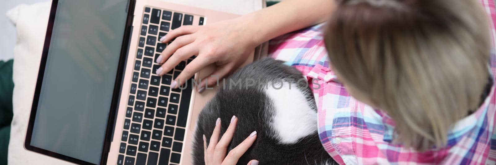 Top view of young woman sitting on sofa and working on modern laptop. Female owner petting home cat. Distance and remote work or quarantine time concept