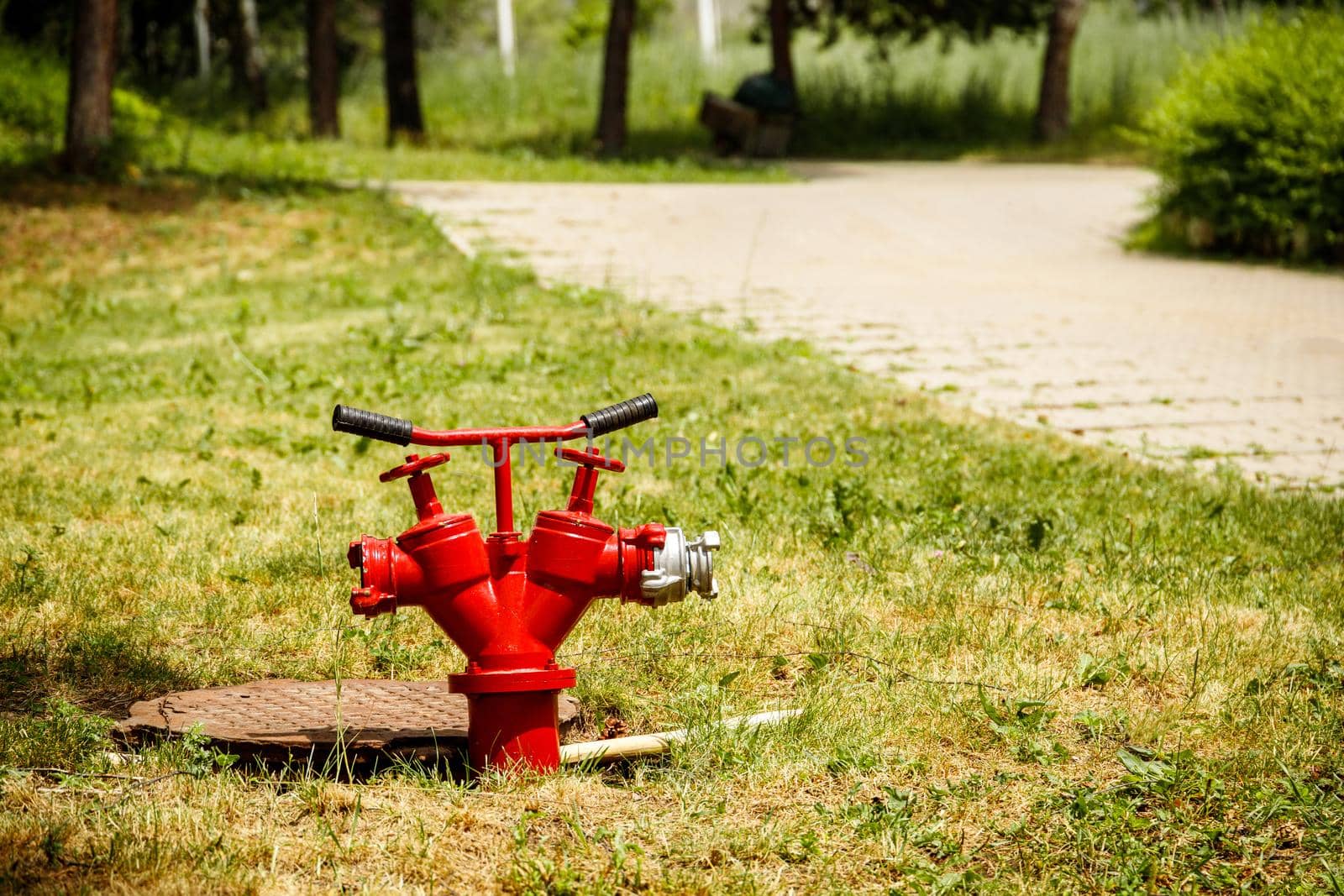 A red fire hydrant is installed in the hatch. Copy space.