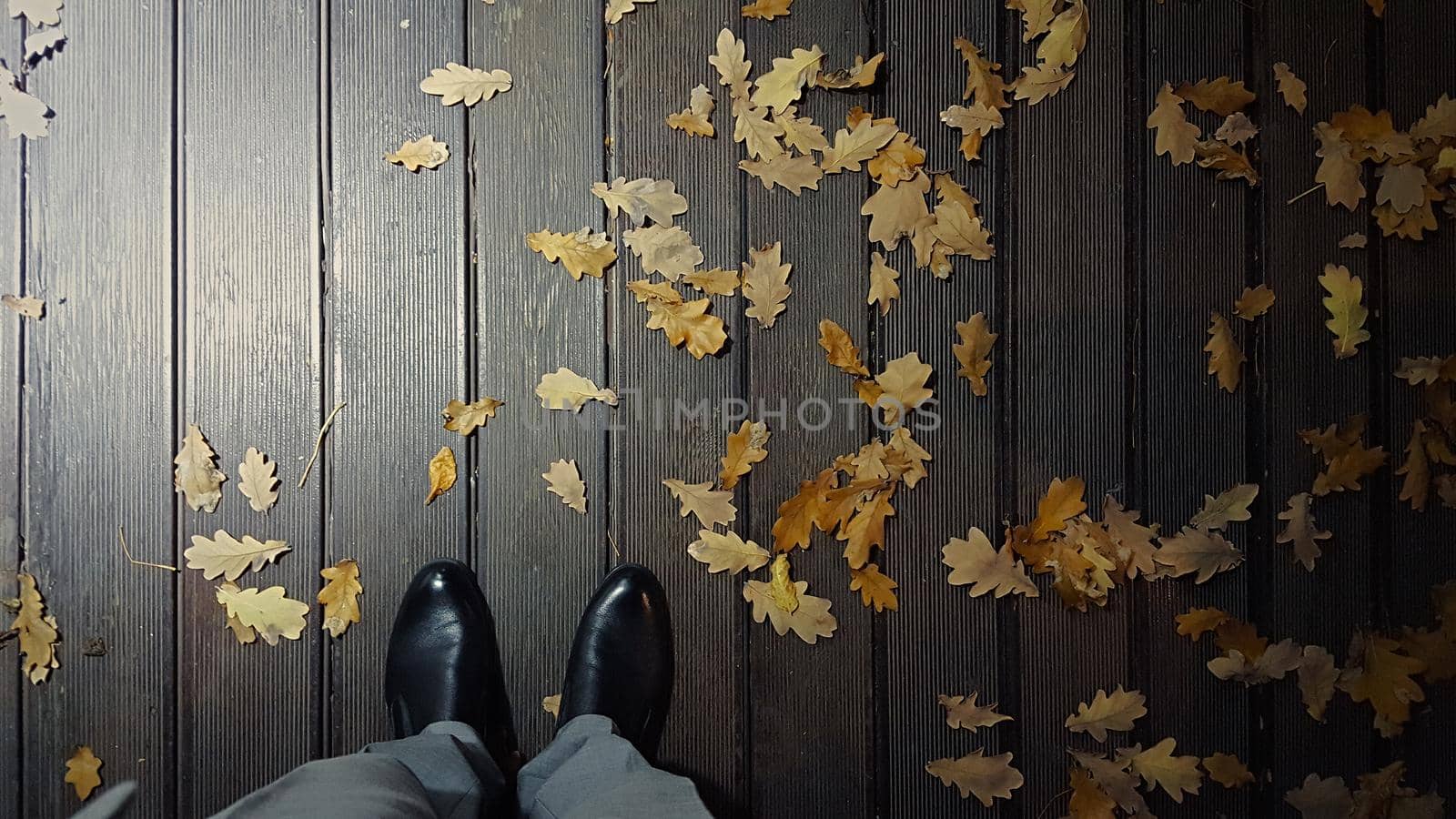 Top view of male legs in black shoes on a deck board with autumn foliage at night under lantern lighting.