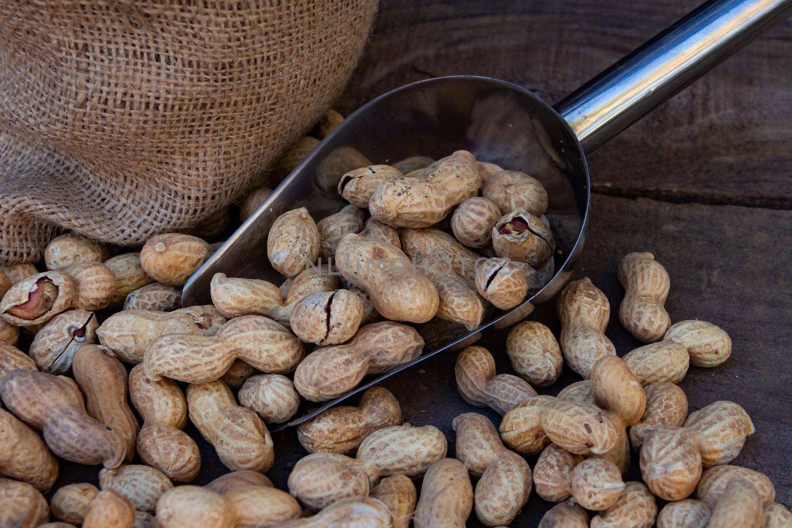 bag and shovel bucket with bulk peanuts by GabrielaBertolini