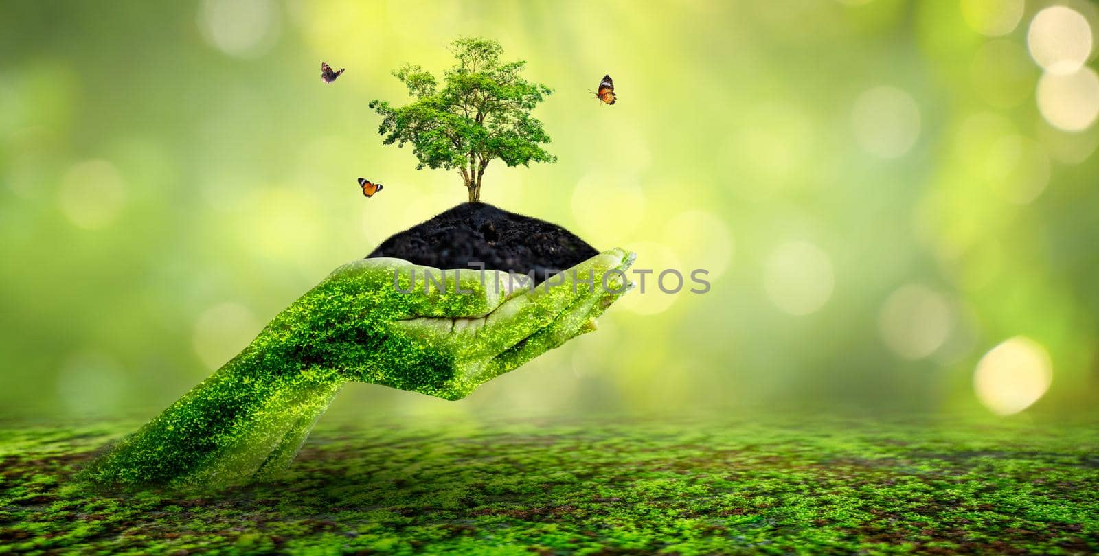 environment Earth Day In the hands of trees growing seedlings. Bokeh green Background Female hand holding tree on nature field grass Forest conservation concept by sarayut_thaneerat