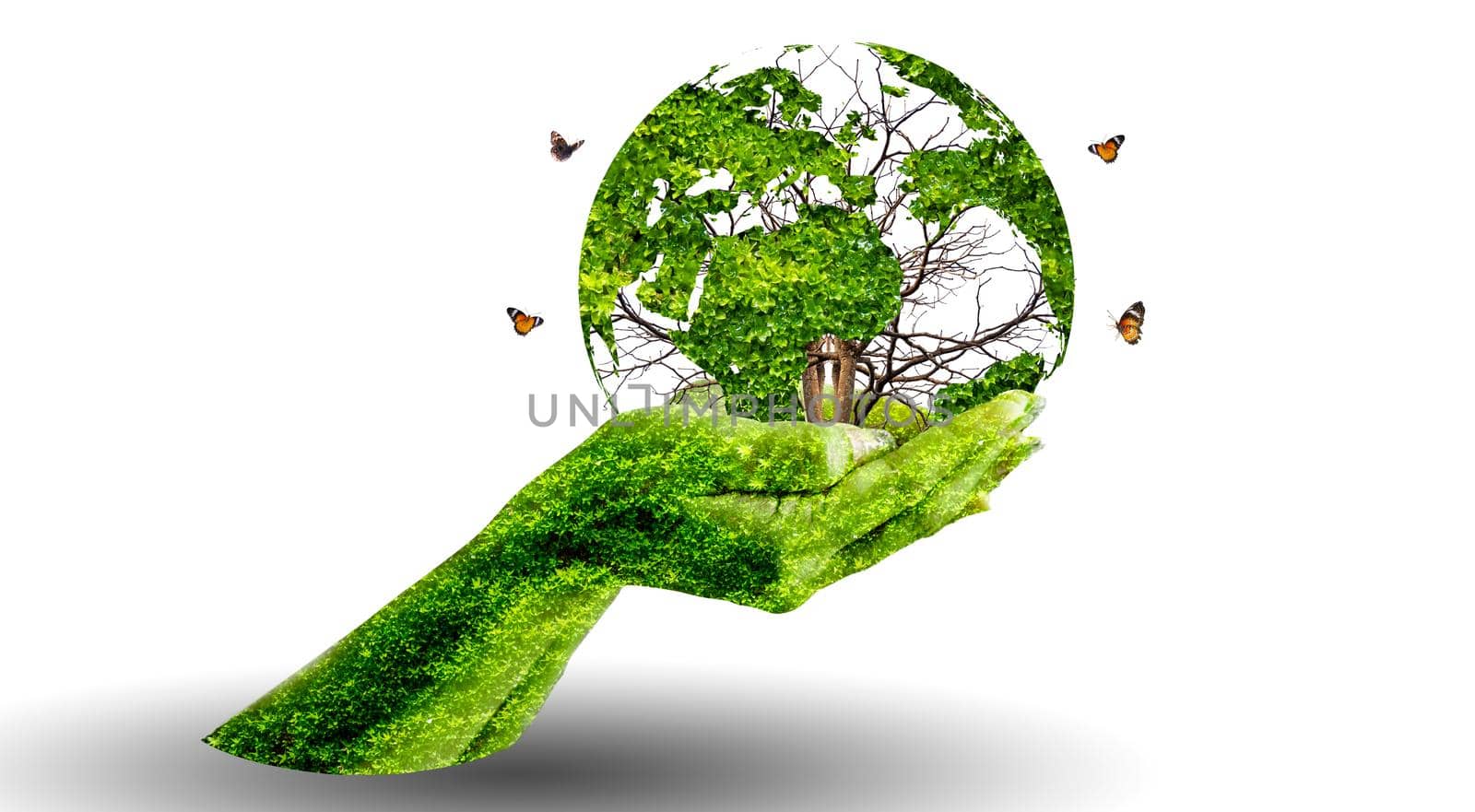 A tree with leaves of the world map, concept, environment, save the world