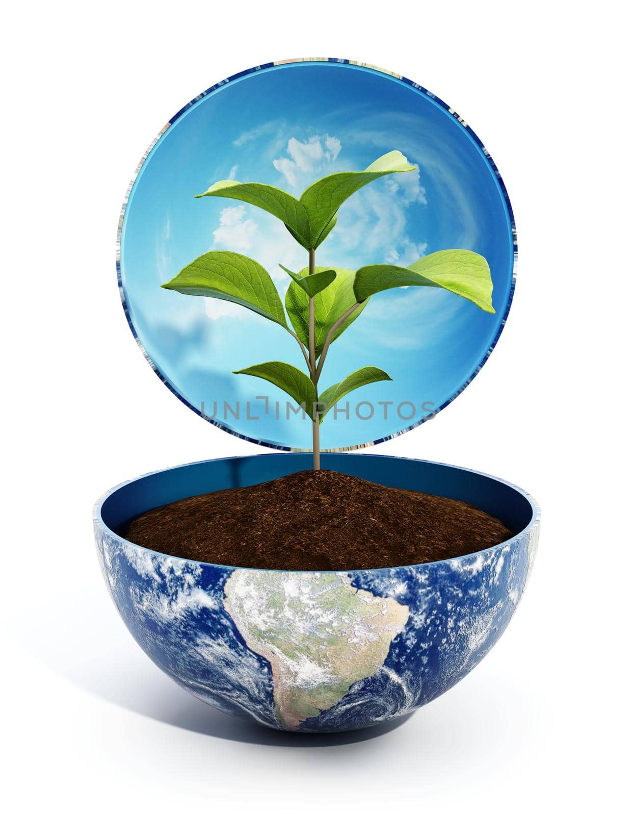 Growing plant inside half opened globe. 3D illustration by Simsek