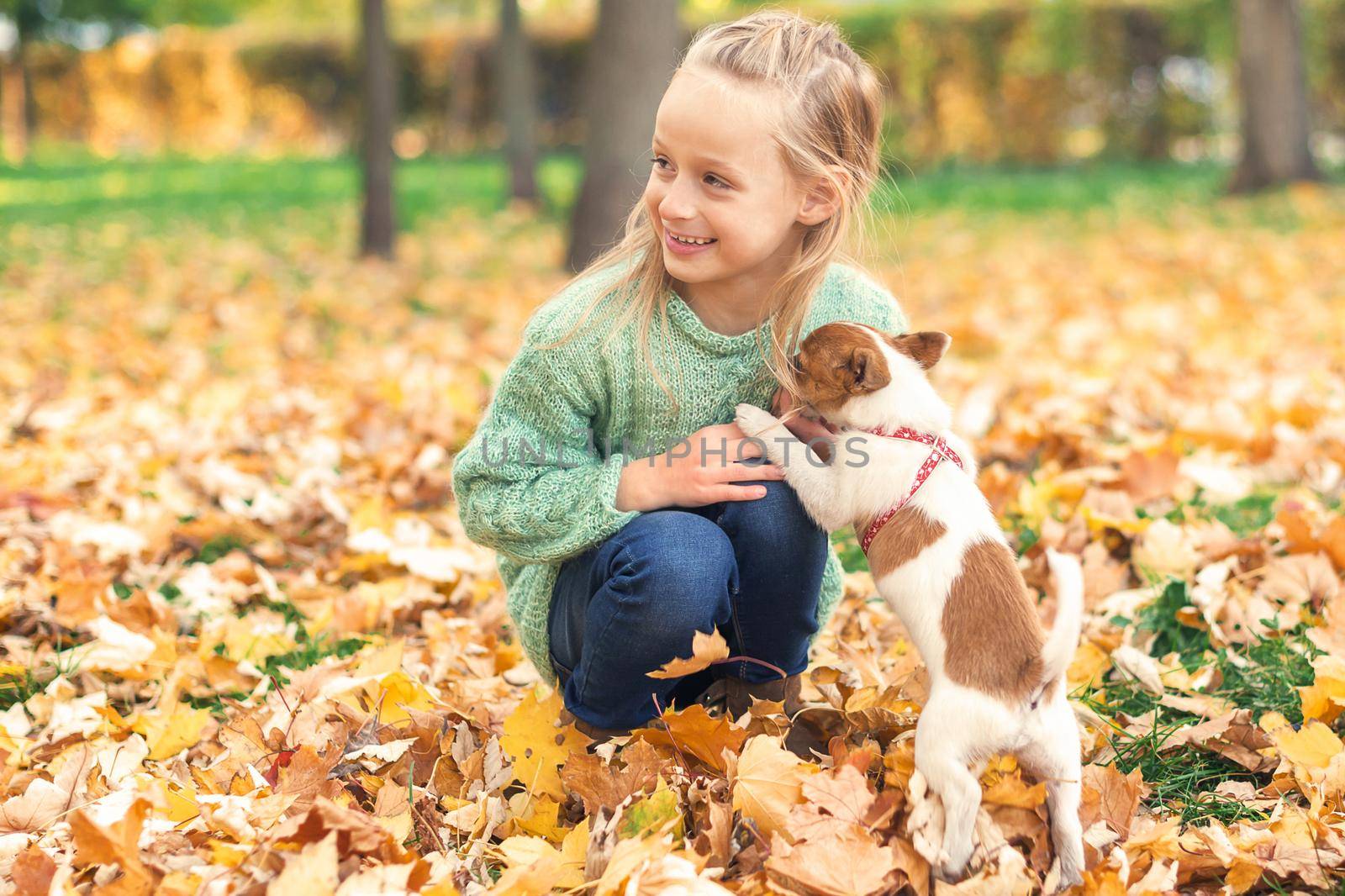 Small purebred dog with little caucasian girl playing in the autumn park.