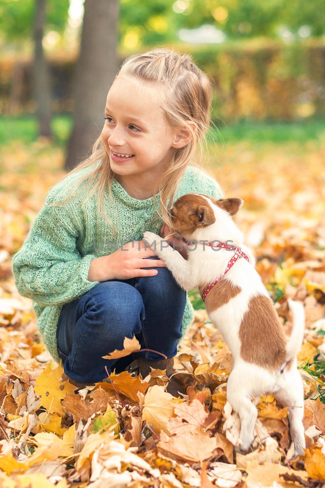 Small purebred dog with little caucasian girl by okskukuruza