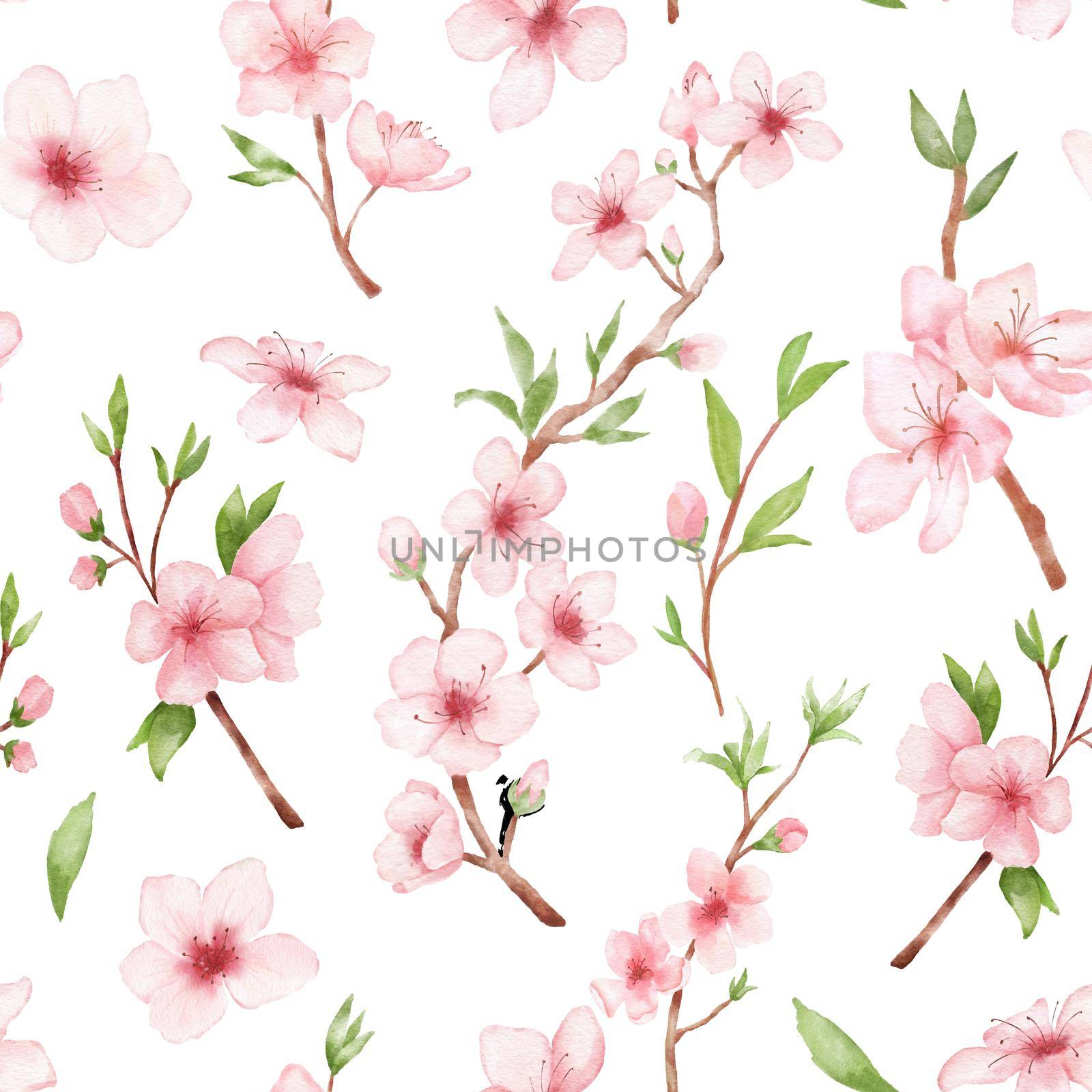 Branch of Cherry blossom watercolor seamless pattern on white backgraund. Japanese flowers. Floral pink background by ElenaPlatova