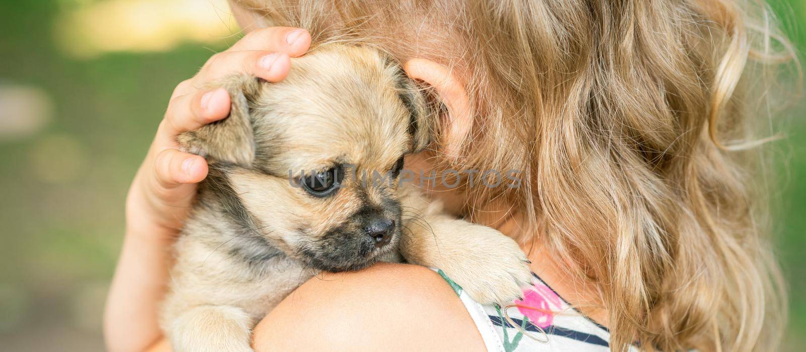 Close up of little purebred sad puppy sitting on shoulder of young girl outdoors