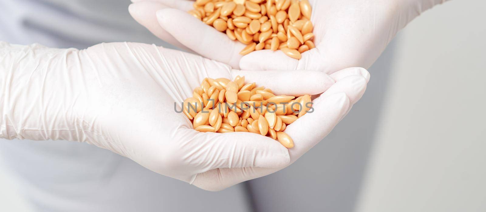 Hard wax beans or seeds in palms of human hands in protective gloves
