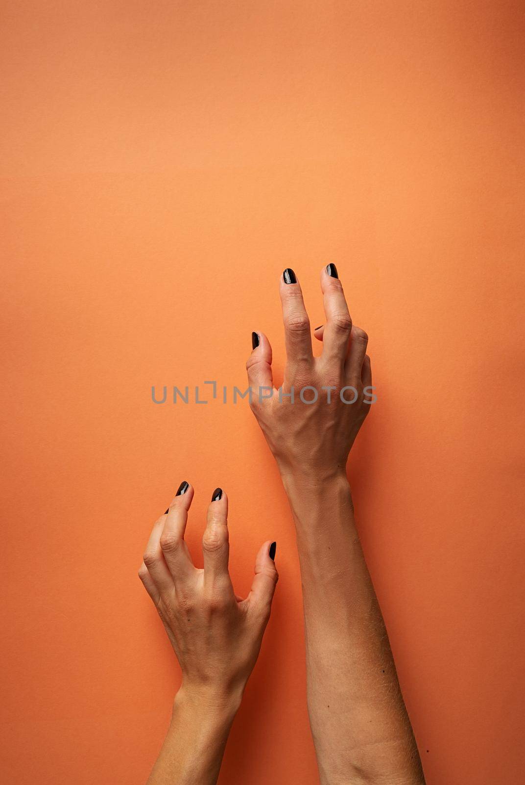 Happy Halloween concept. Creepy woman Halloween hands with black nails on orange background