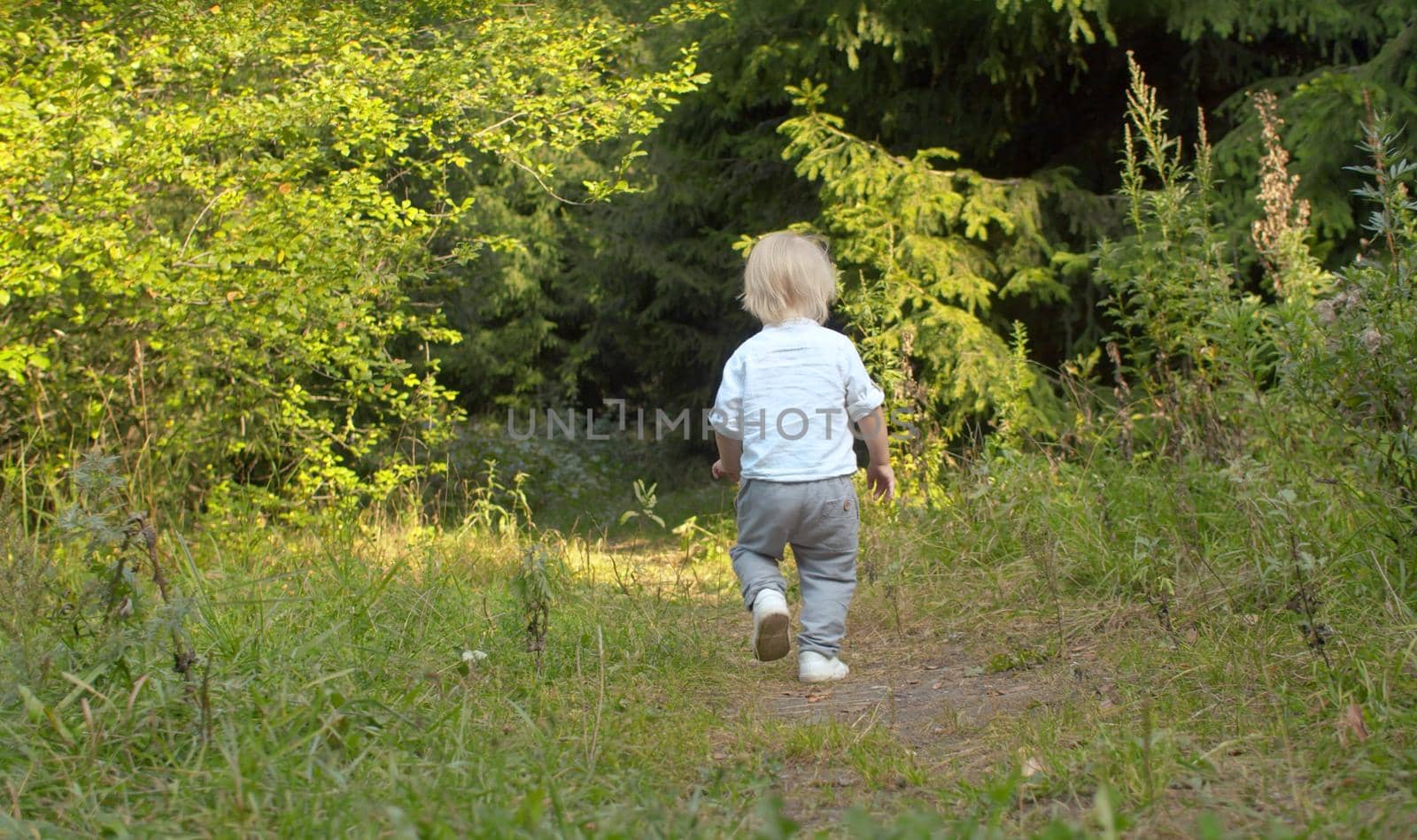 Little boy walking along the path in the forest. Baby on the stroll. Rear view