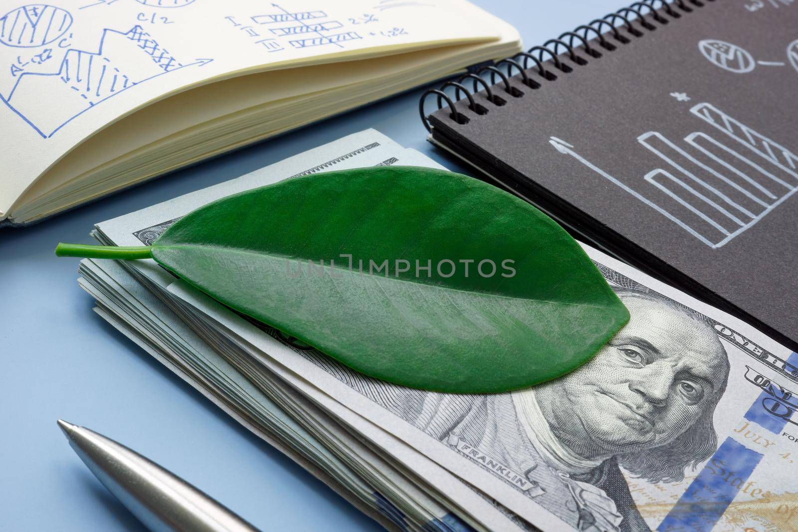 A green leaf on a bundle of money as a symbol of impact investment. by designer491