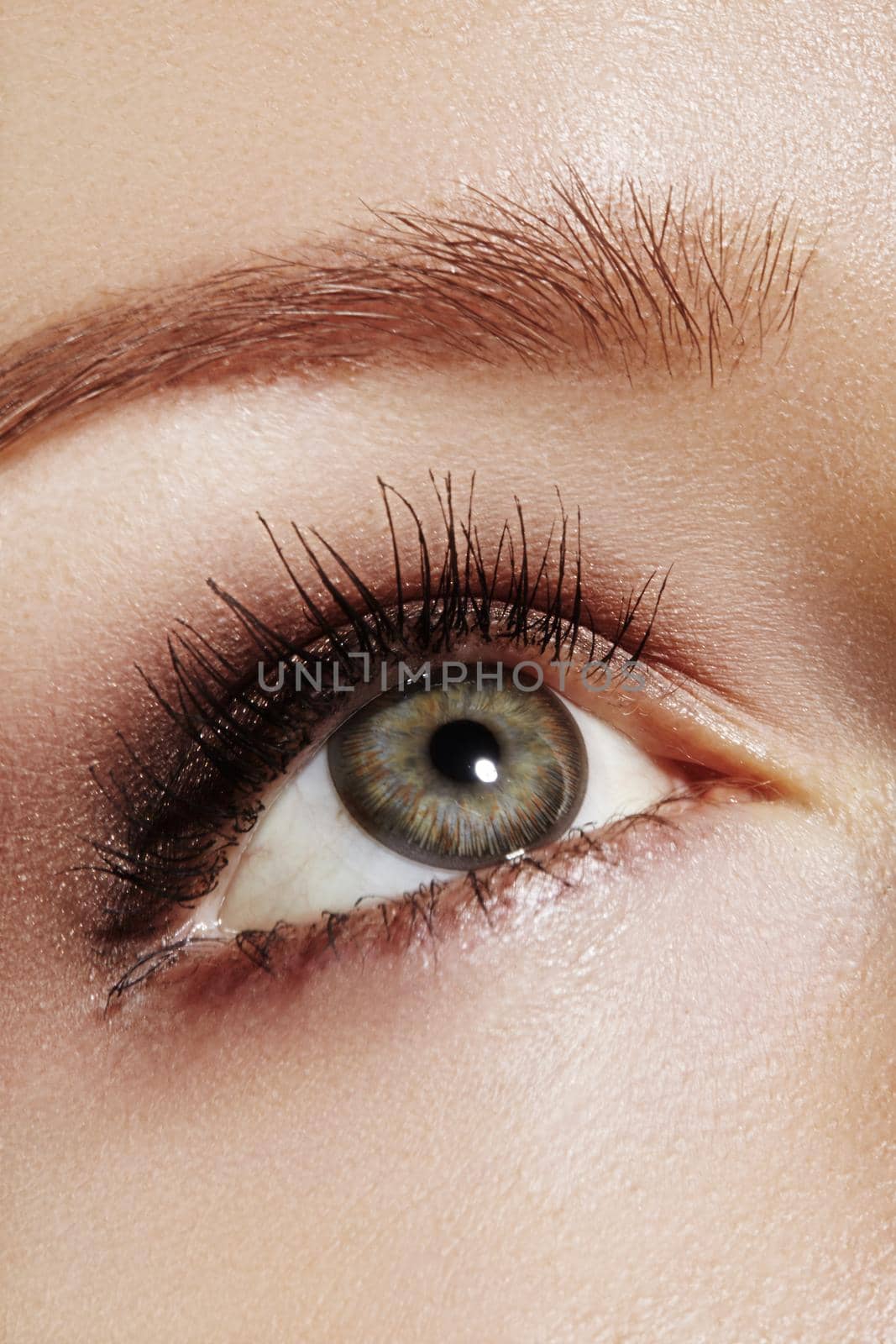 Close-up macro of beautiful female eye with perfect shape eyebrows. Clean skin, fashion naturel make-up. Good vision.
