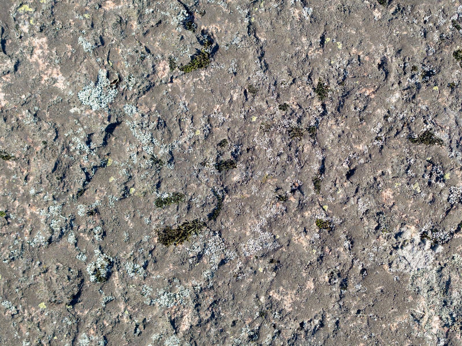 Texture of old natural mossy stone. Beautiful stone surface, dirty rock covered with lichen and moss for natural background